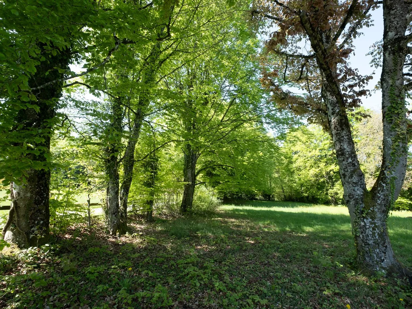 Casa singola in vendita - Foto 28 di 30