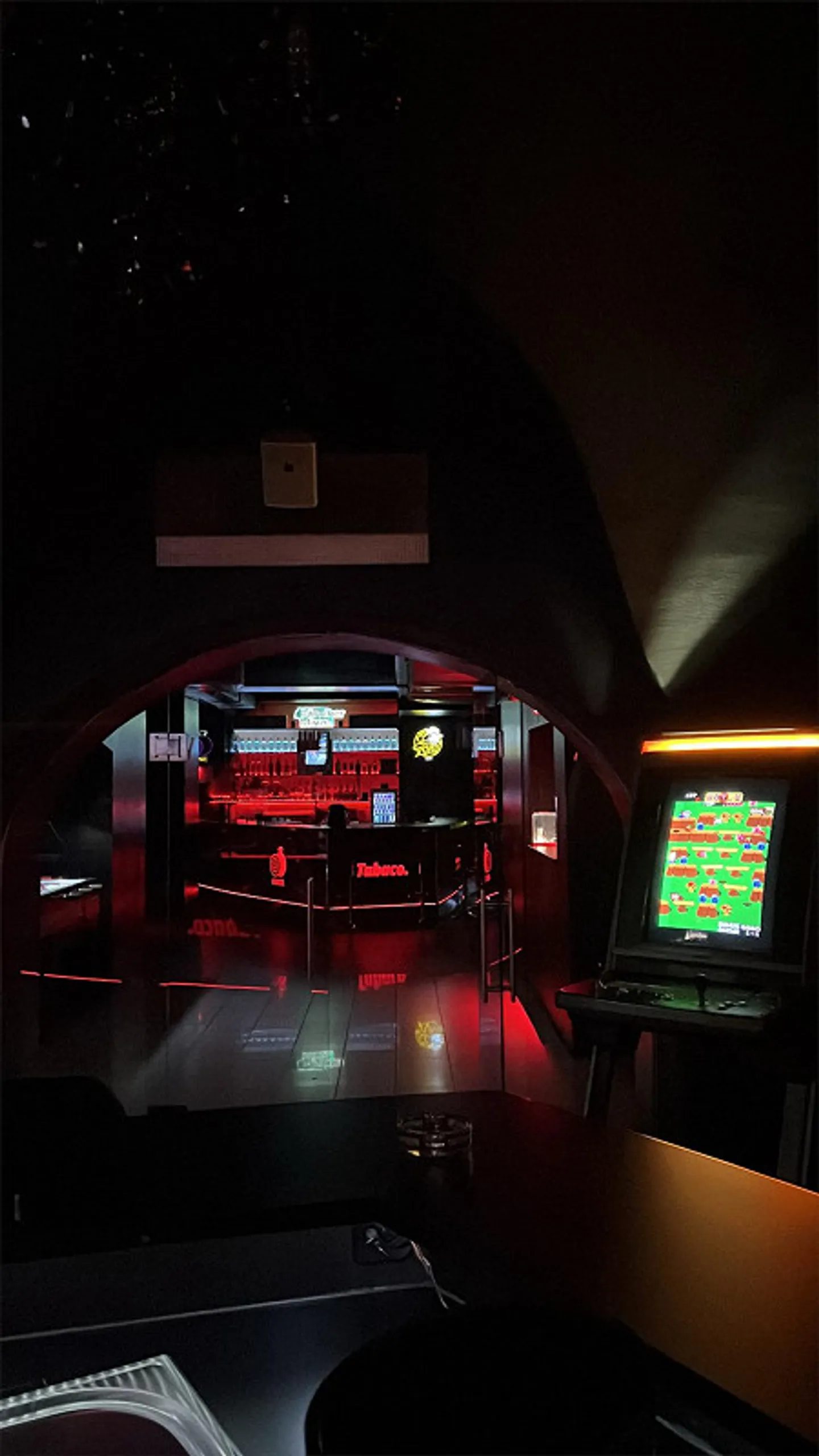 Newly renovated, large gastronomy location (Club/Bar) in Welschdörfli Chur - Photo 8 of 10