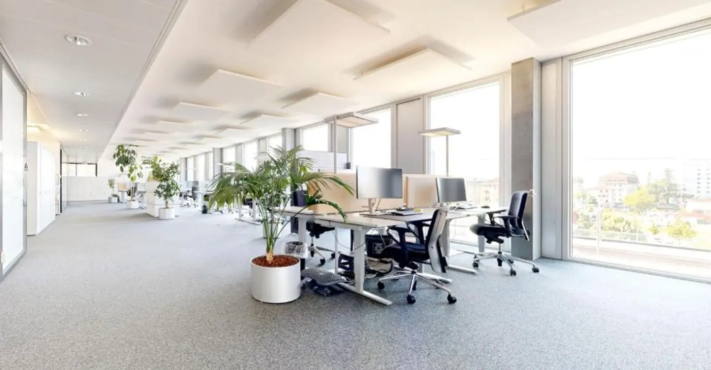Set up your business in the heart of Malley! - Photo 2 of 6