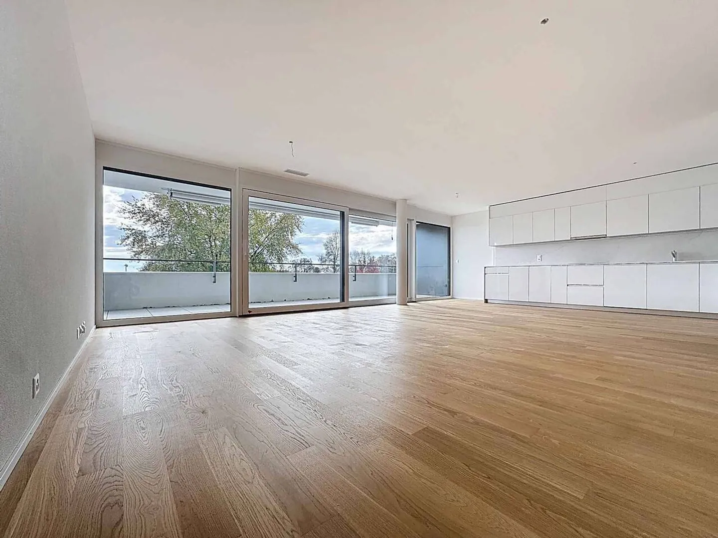 Luxueux 4.5 pièces traversant avec 2 balcons et vue panoramique sur le lac - Photo 1 sur 13