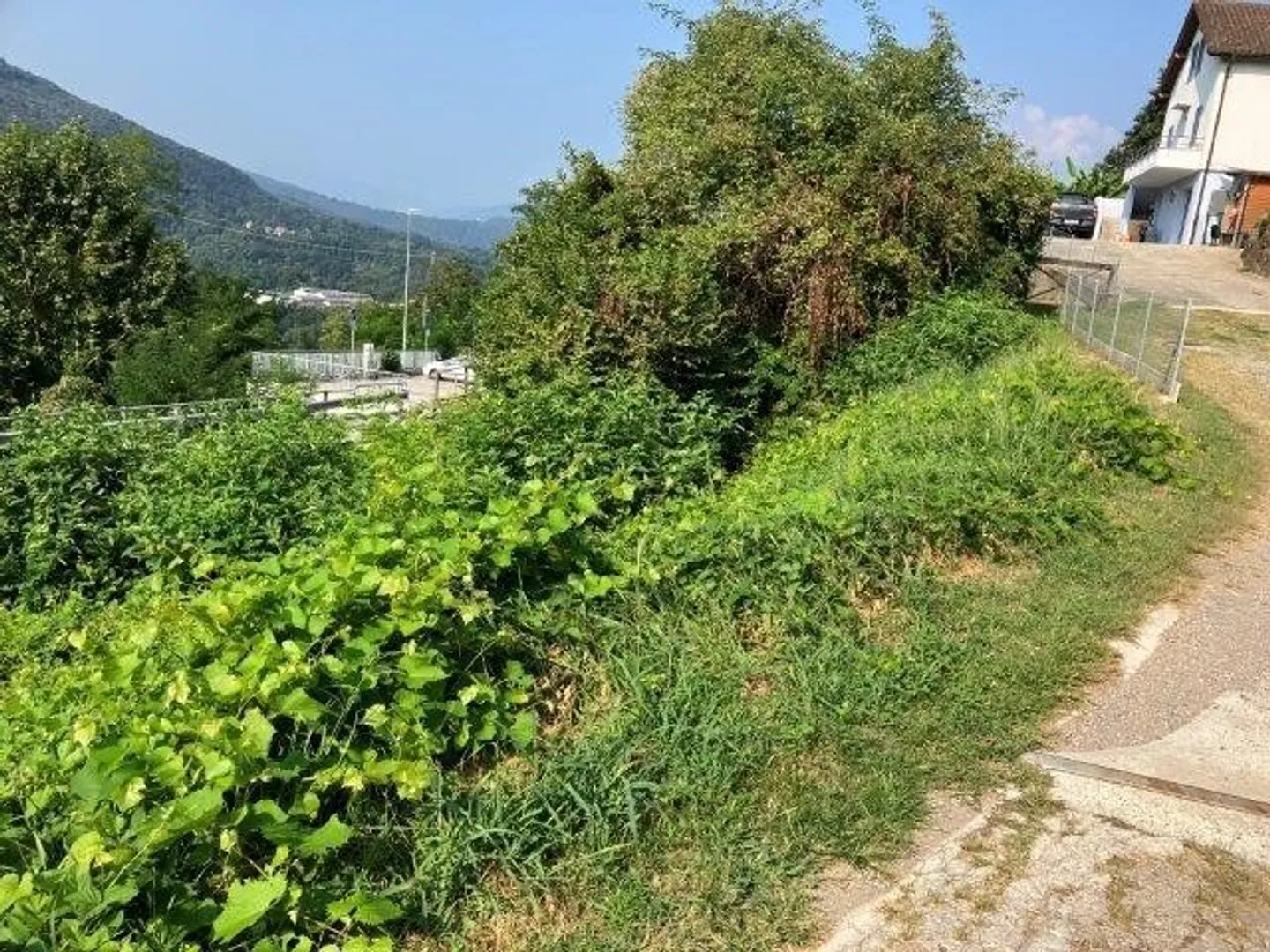 Sonniges Baugrundstück in Monteggio - Foto 3 von 8