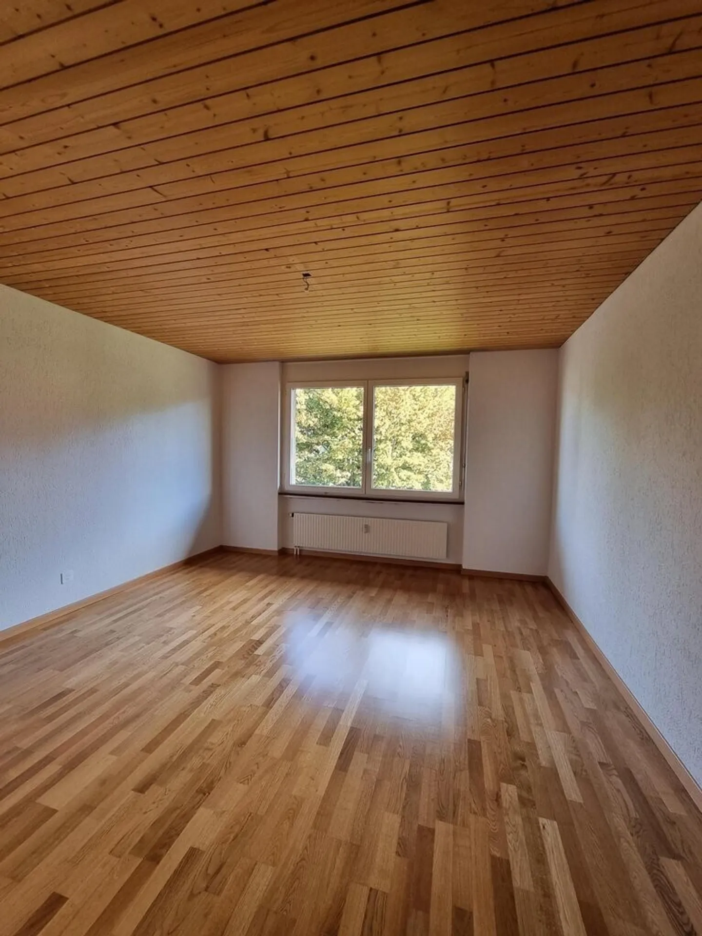 Your Apartment - Your Paradise! - Photo 5 of 12