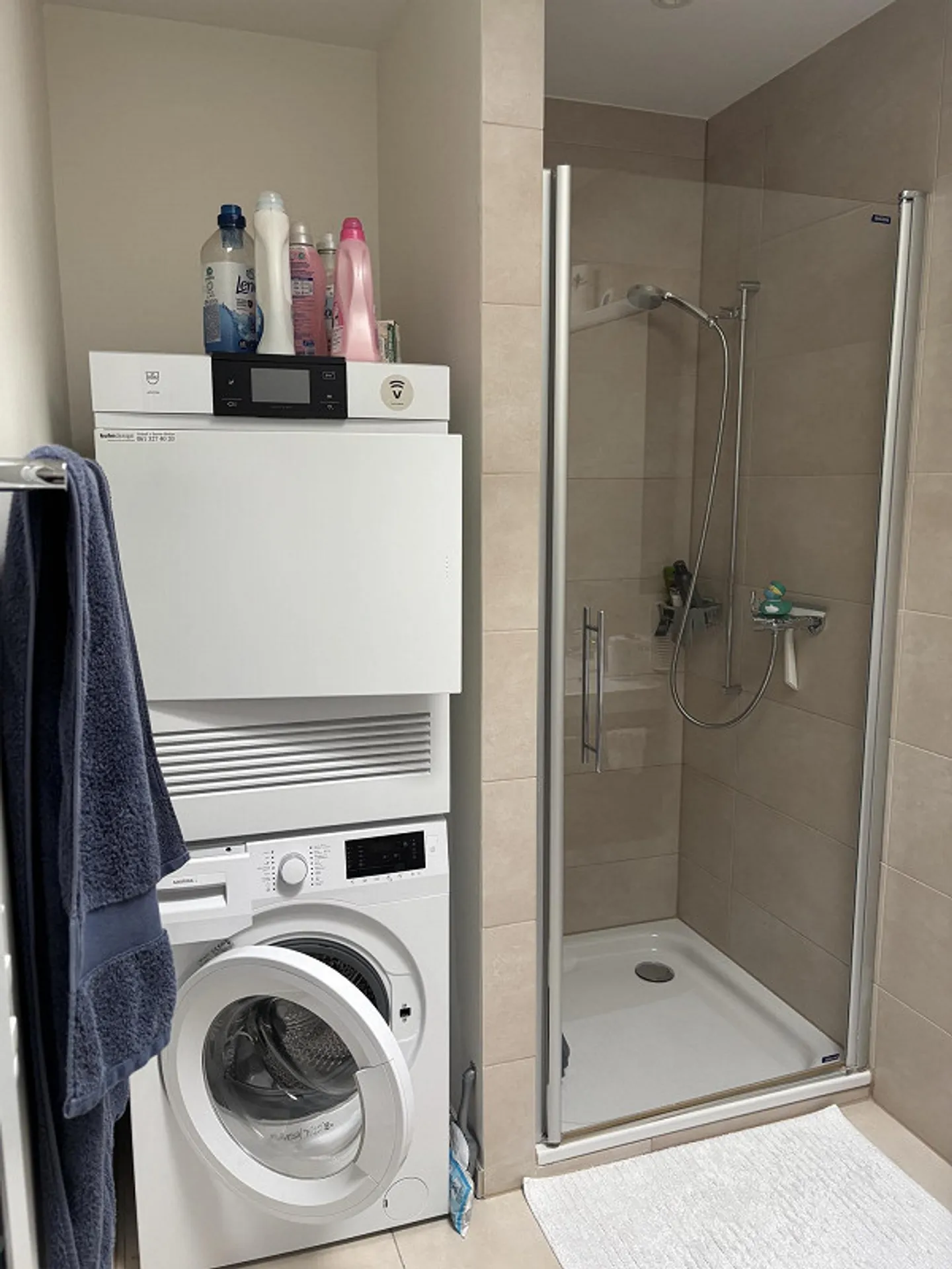 Beautiful apartment in Allschwil - Photo 5 of 9