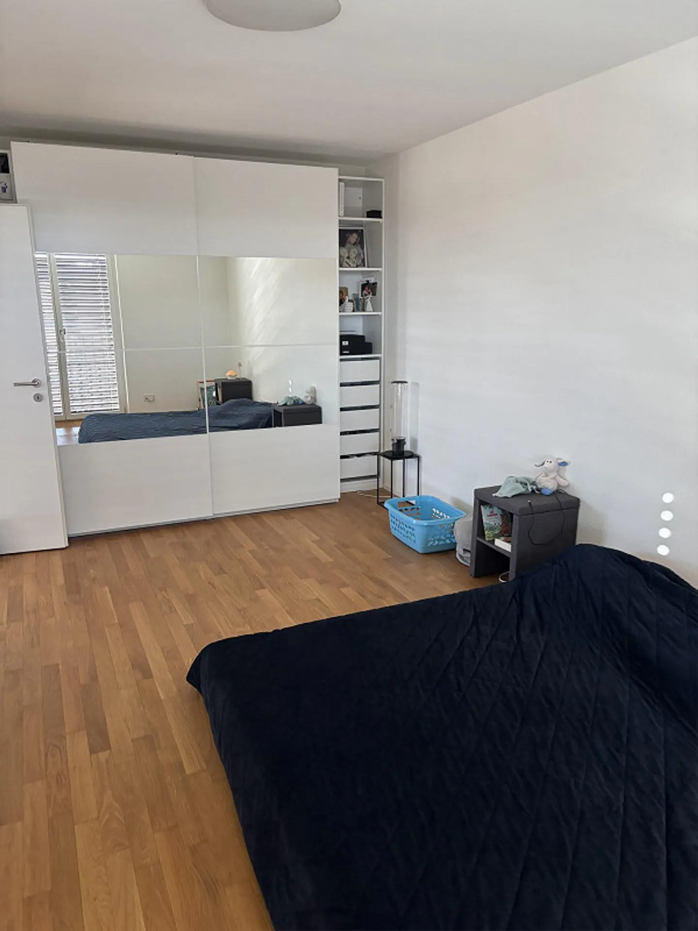 Beautiful apartment in Allschwil - Photo 7 of 9