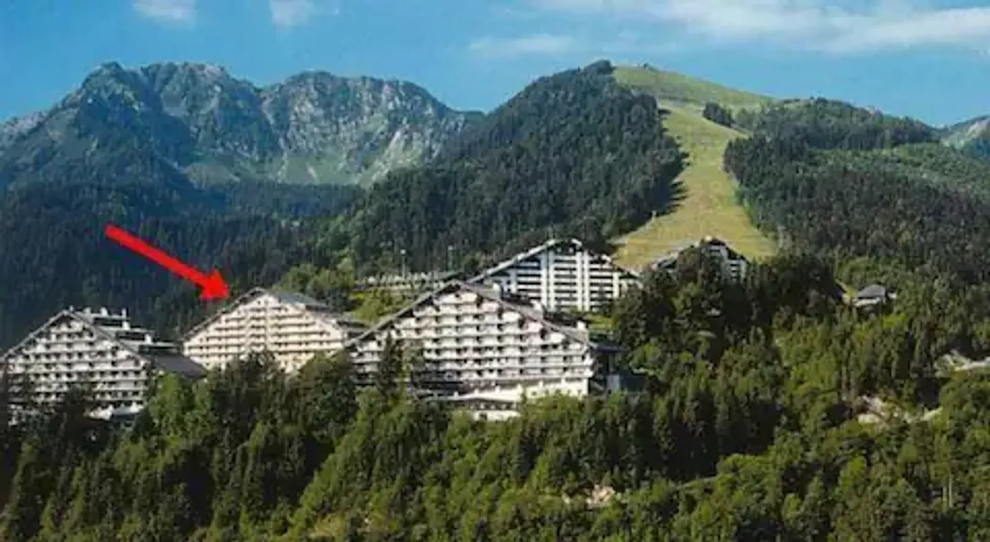 Appartamento affascinante di 2,5 stanze con terrazza a Torgon - Foto 9 di 9