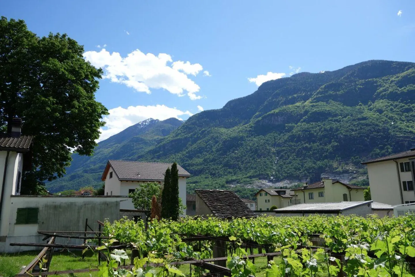 Terrain de 1289 m2 avec licence approuvée - Photo 8 sur 9