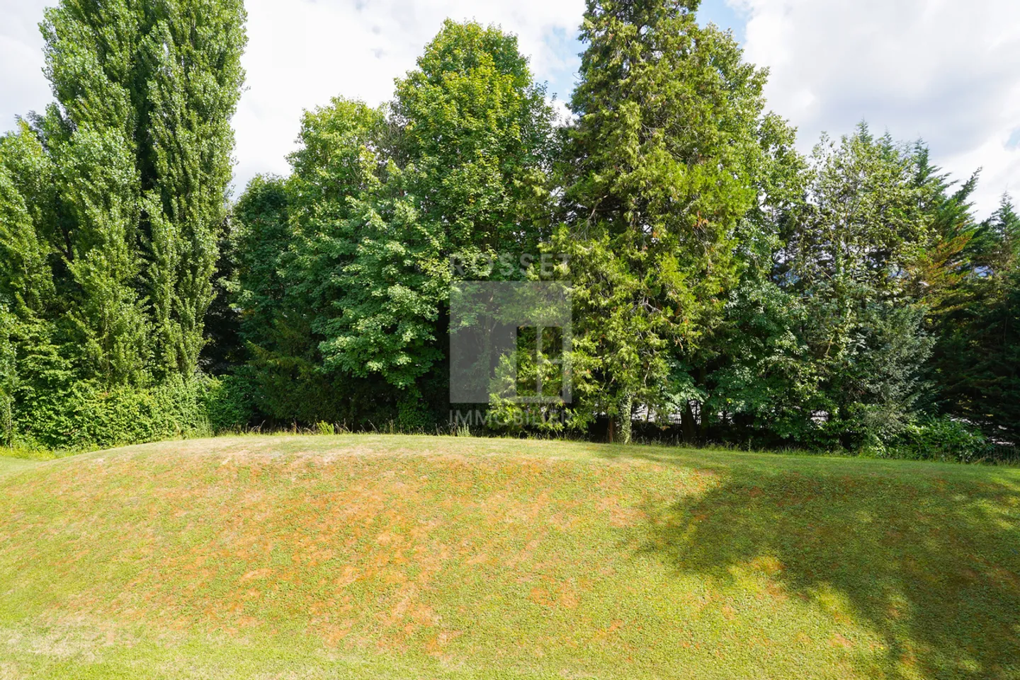 In Esclusiva: 3 locali in un angolo di verde - Foto 8 di 8
