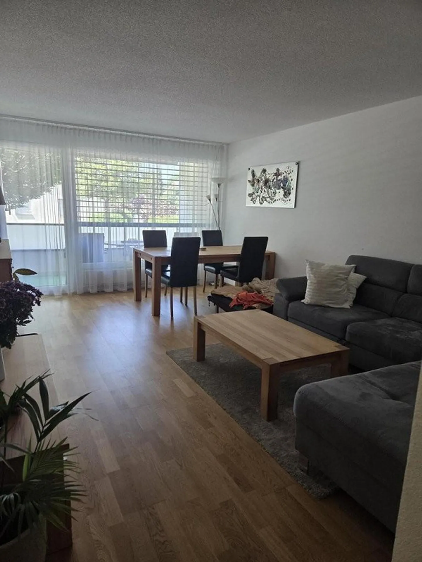 Bella appartamento di 3 stanze in affitto a Schlieren - Foto 5 di 9