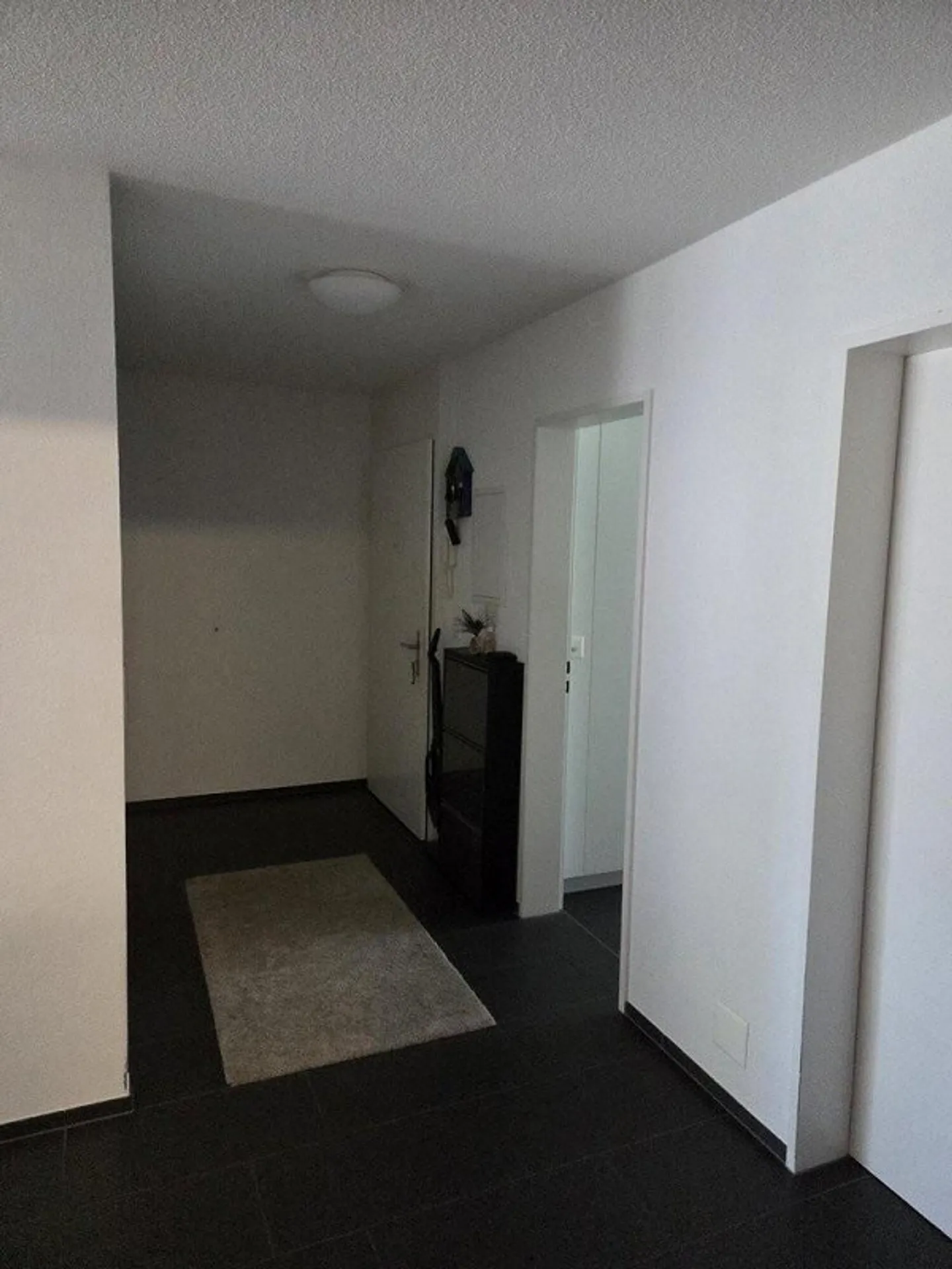 Bella appartamento di 3 stanze in affitto a Schlieren - Foto 6 di 9
