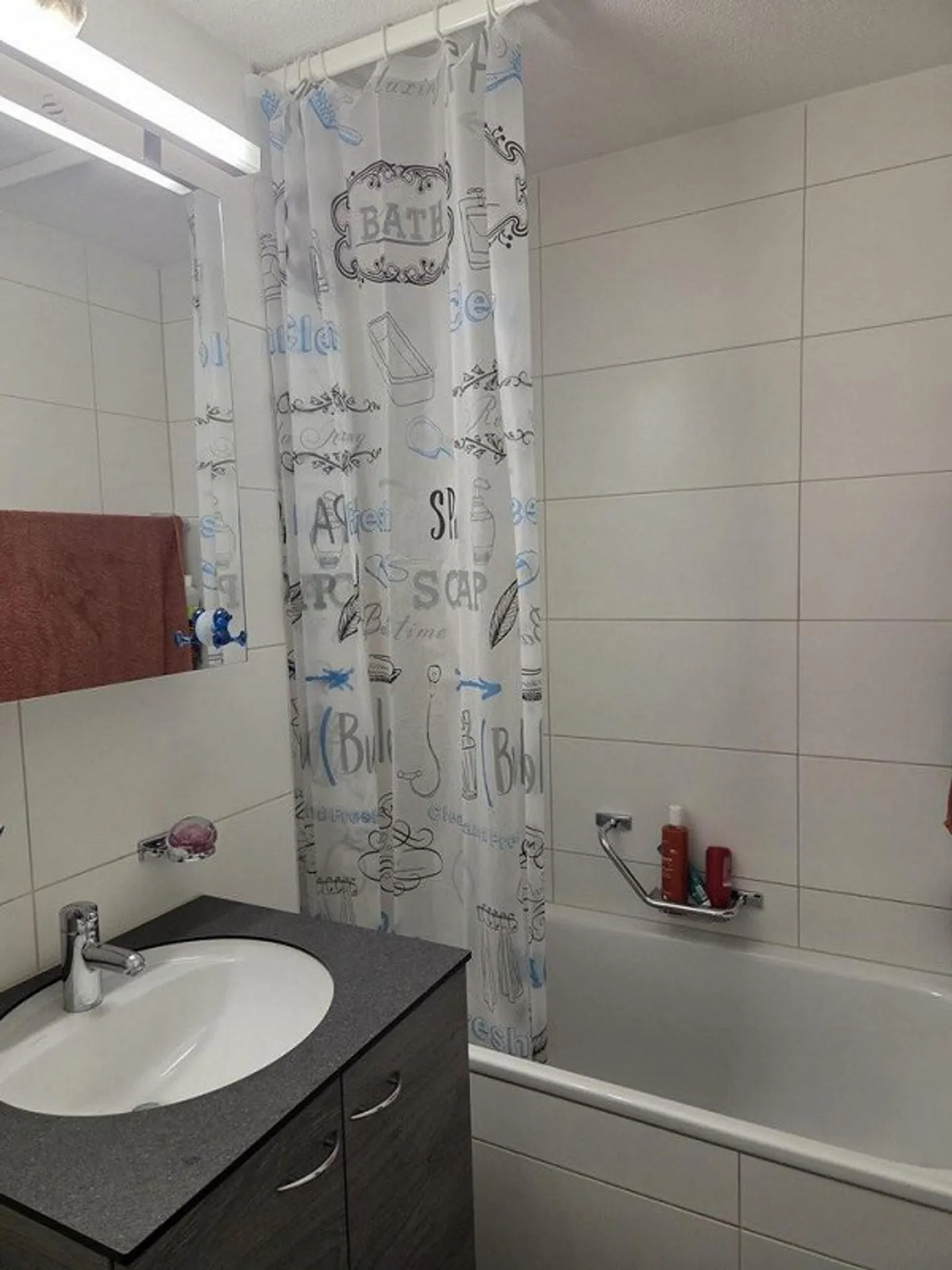 Bella appartamento di 3 stanze in affitto a Schlieren - Foto 8 di 9