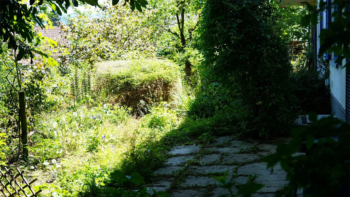 Living in the popular Weinbergli district, Lucerne - Photo 8 of 8
