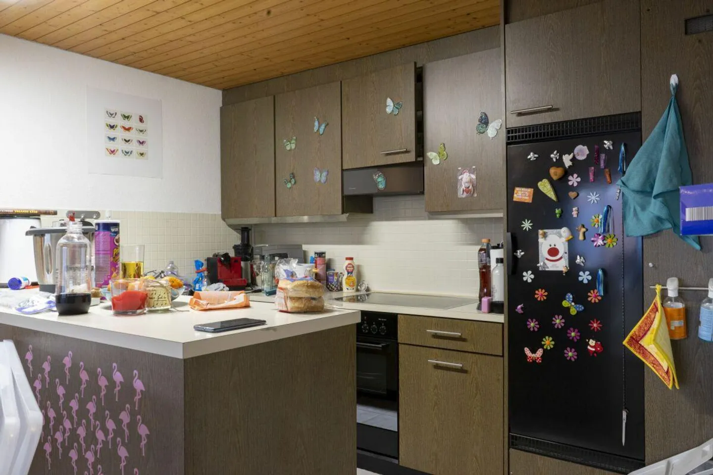 Multi-family house with 3 well-maintained apartments in Sulz - Photo 5 of 13