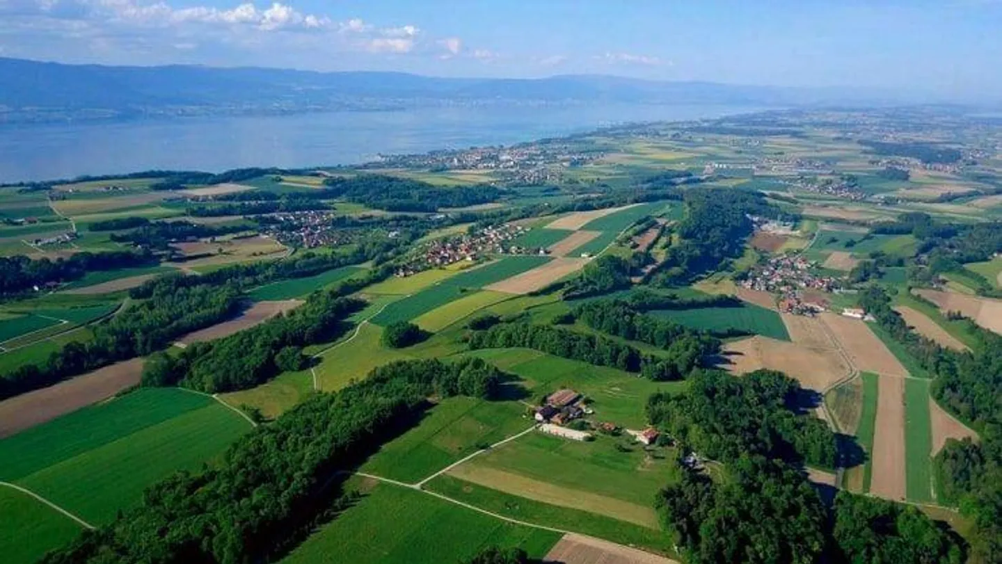 New Promotion | Murist | 42 Apartments - Photo 7 of 8