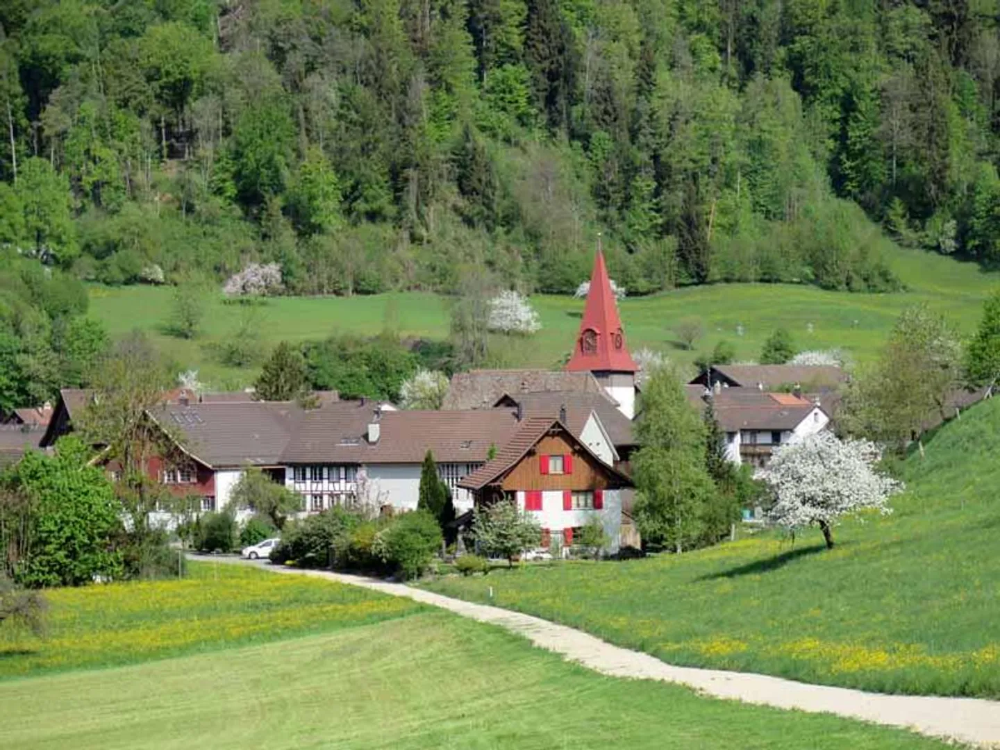 Terrain à bâtir Zone Centrale Zell ZH – Rämismühle - Photo 1 sur 2
