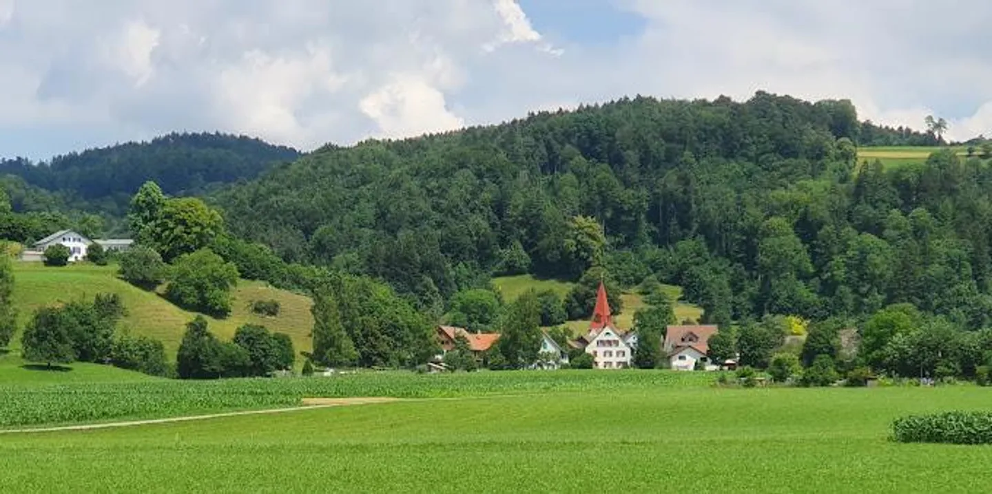 Terrain à bâtir Zone Centrale Zell ZH – Rämismühle - Photo 2 sur 2