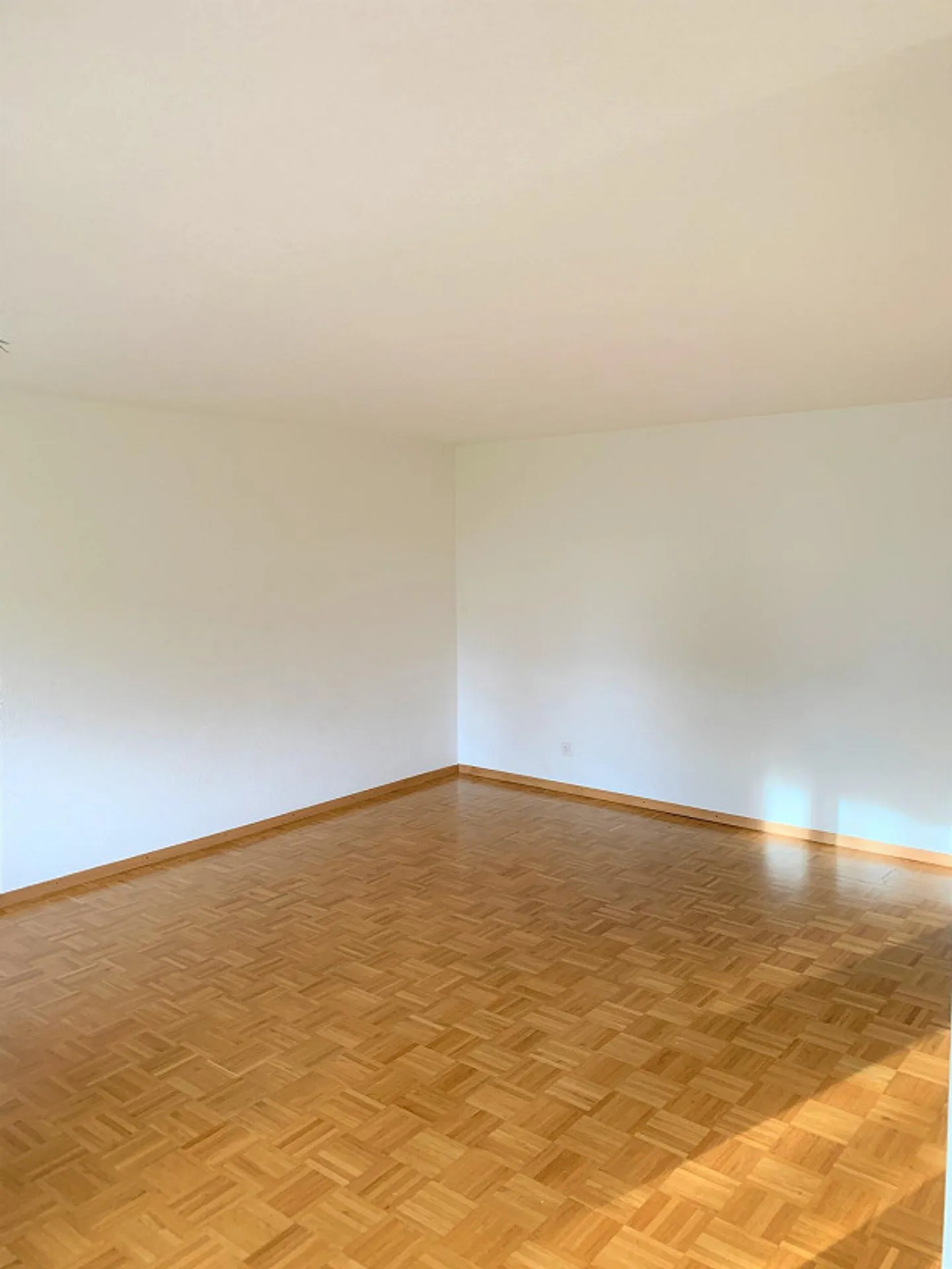 Sous-locataire à partir du 01.09.2026 pour un charmant appartement de 3,5 pièces au rez-de-chaussée - Photo 2 sur 8