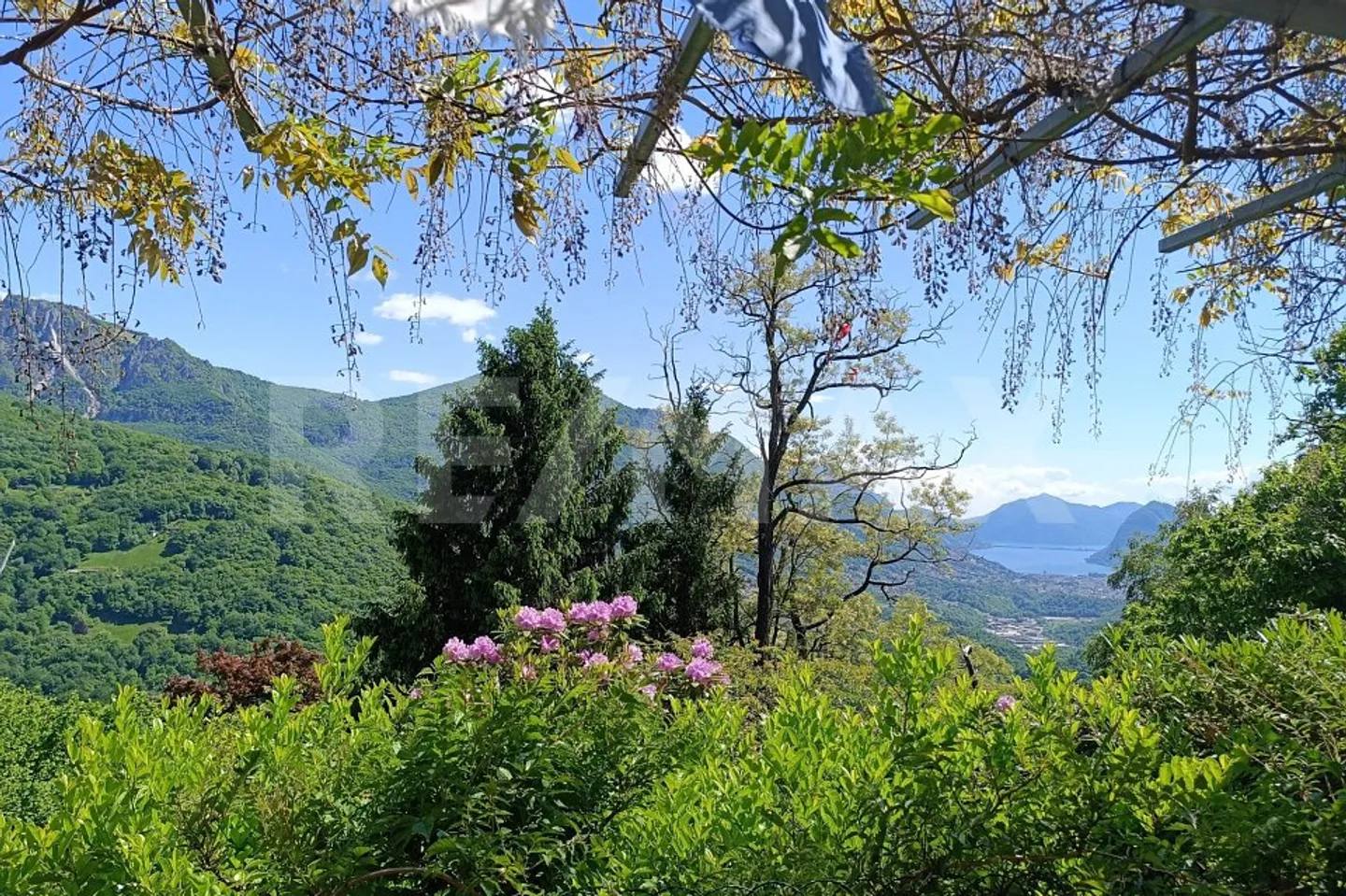 Ein Rückzugsort im Grünen  Rustikaler Ferienhaus mit freier Sicht auf den Luganer See - Foto 1 von 13