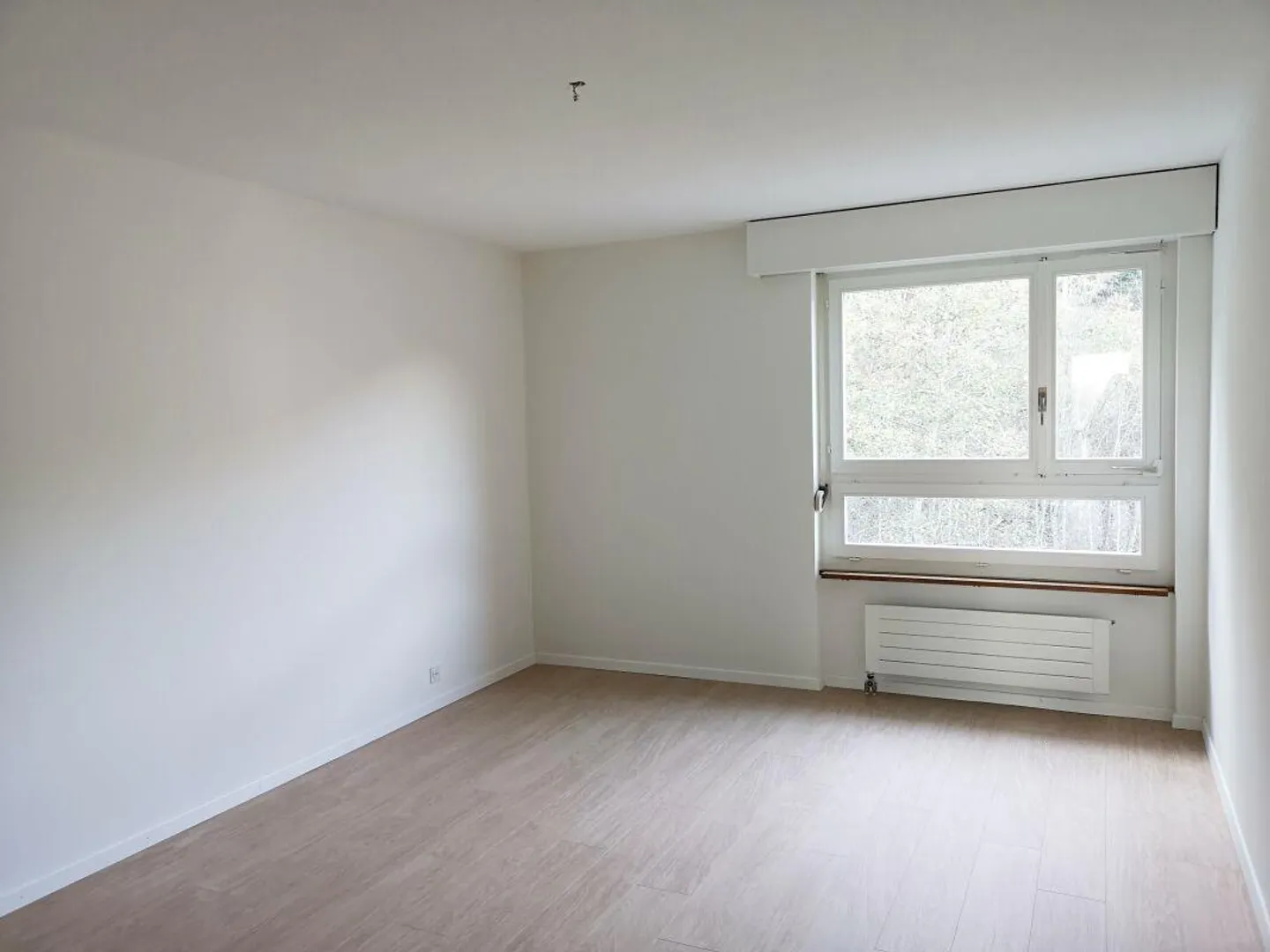 Appartamento completamente ristrutturato con grande balcone - Foto 4 di 7