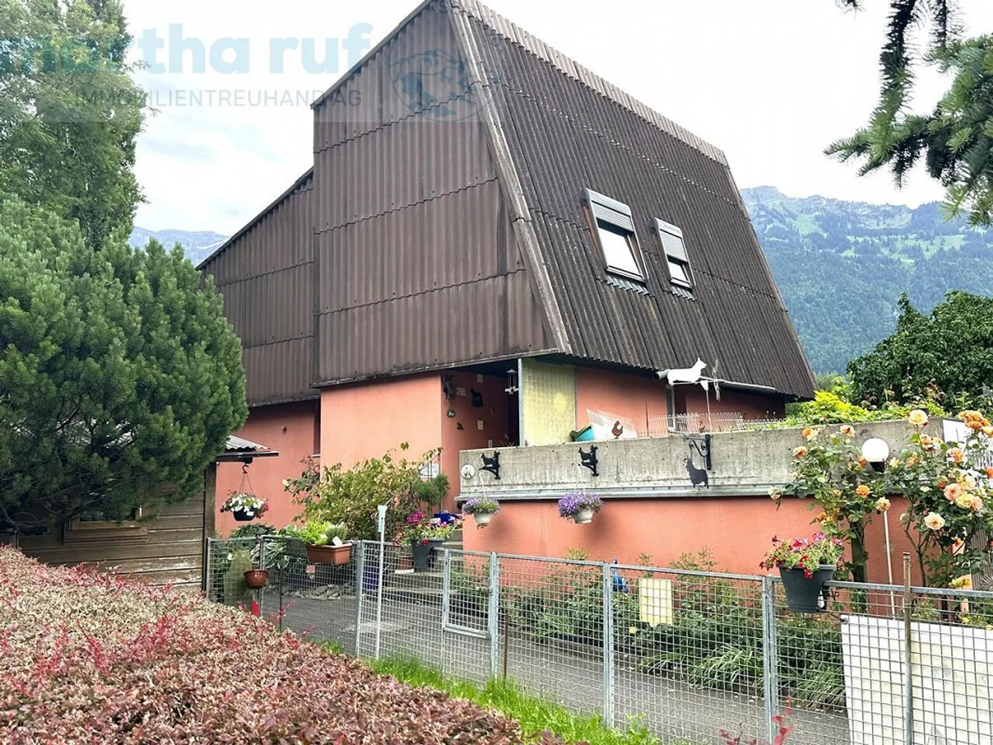 «Einzigartige Tierpension mit Wohnhaus an Toplage in Interlaken» - Foto 1 von 19