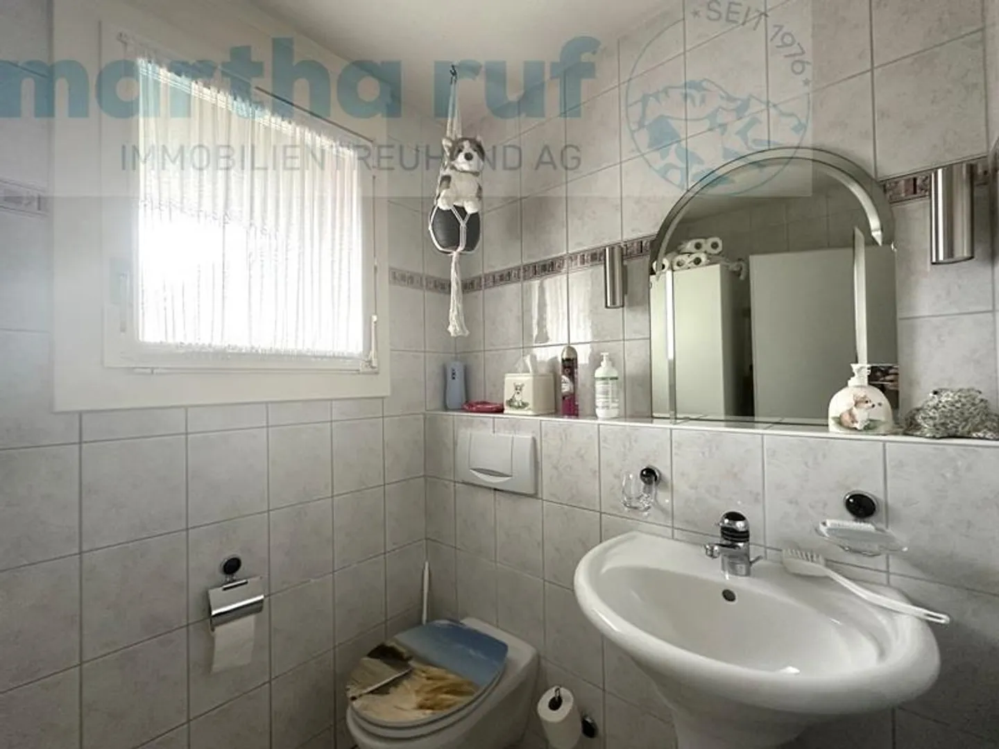 «Einzigartige Tierpension mit Wohnhaus an Toplage in Interlaken» - Foto 6 von 19