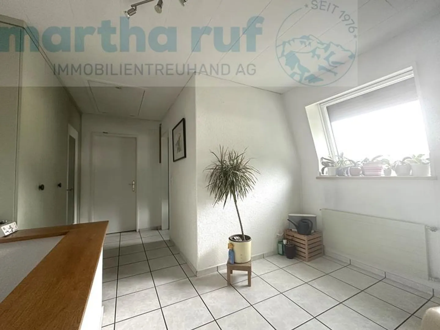 «Einzigartige Tierpension mit Wohnhaus an Toplage in Interlaken» - Foto 8 von 19