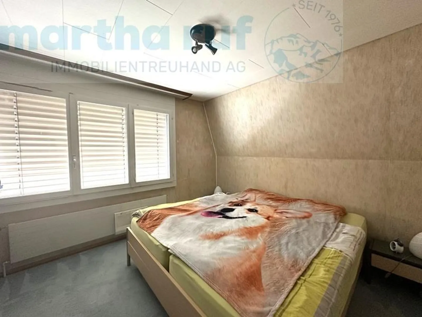 «Einzigartige Tierpension mit Wohnhaus an Toplage in Interlaken» - Foto 9 von 19