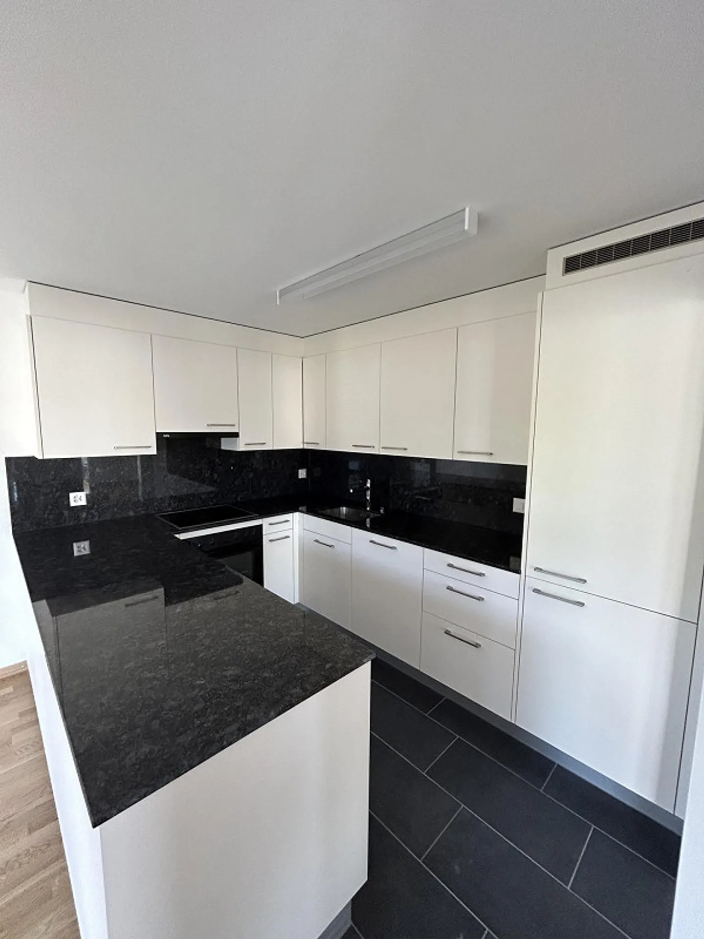 Renovated and bright 4.5 room apartment - Photo 3 of 15