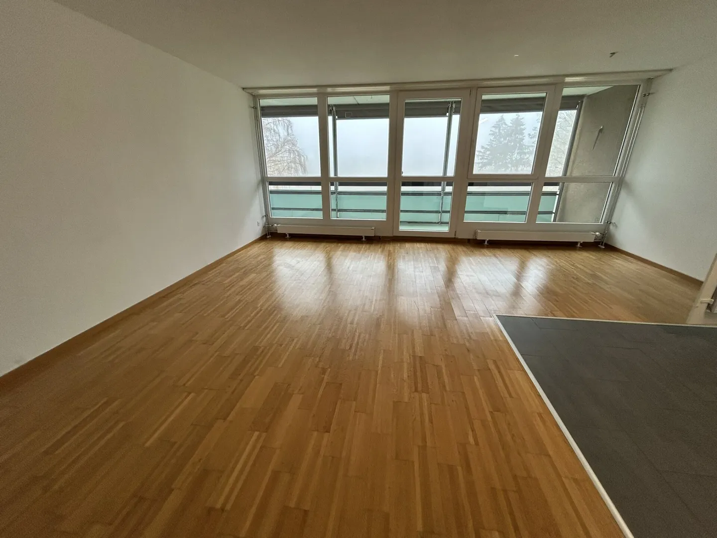 4.5 Zi WG neuwertige Küche, kinderfreundlich, schöne Aussicht - Foto 2 von 9