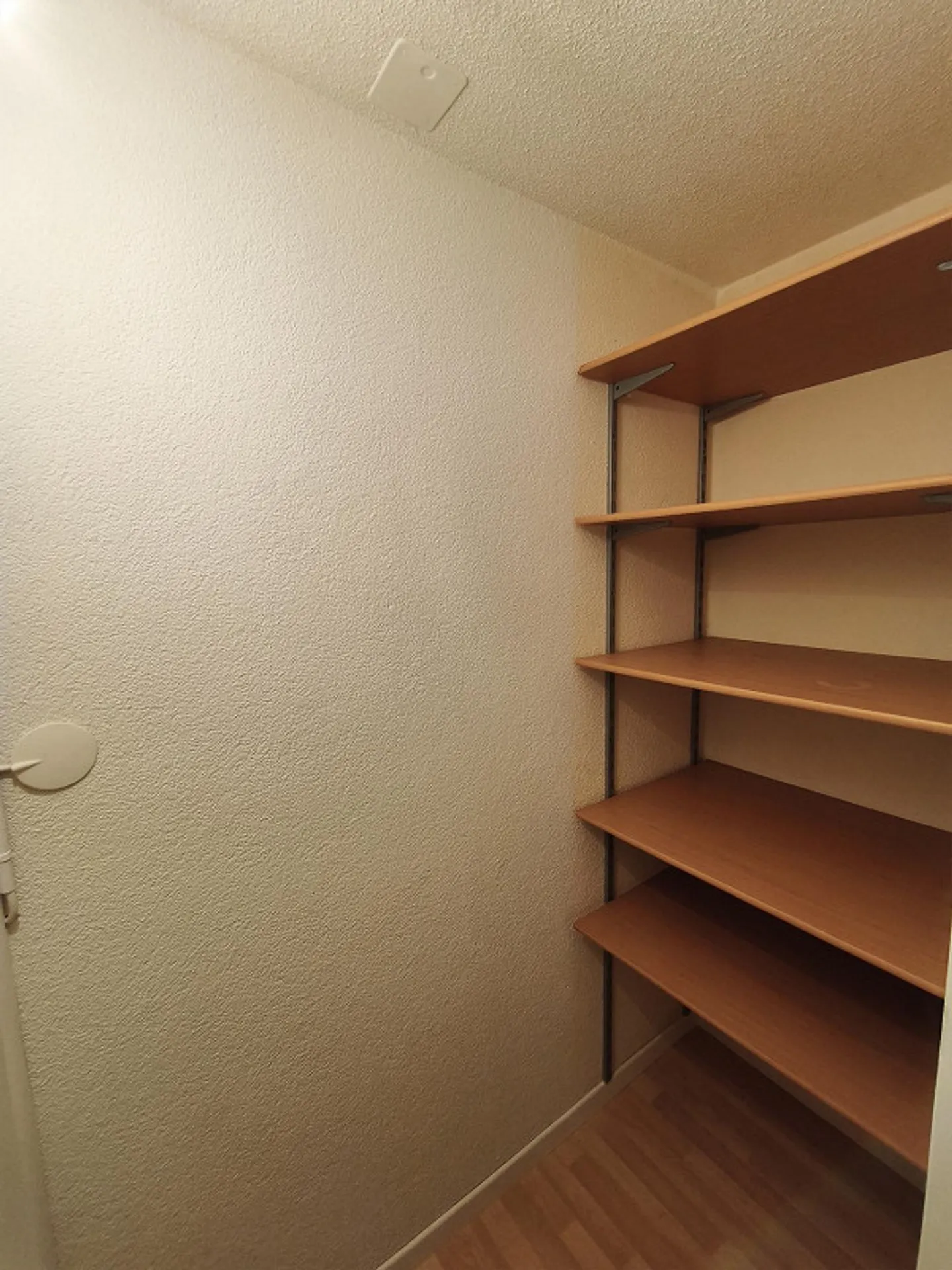 Spacious 1.5-room ground floor apartment in a quiet location - Photo 3 of 8
