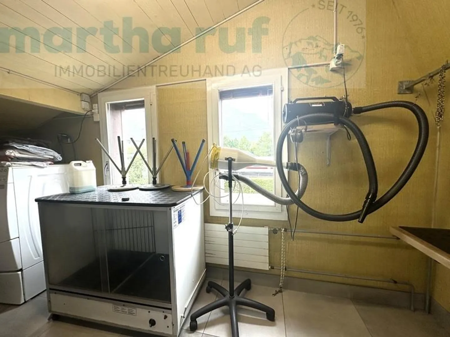 «Einzigartige Tierpension mit Wohnhaus an Toplage in Interlaken» - Foto 15 von 19