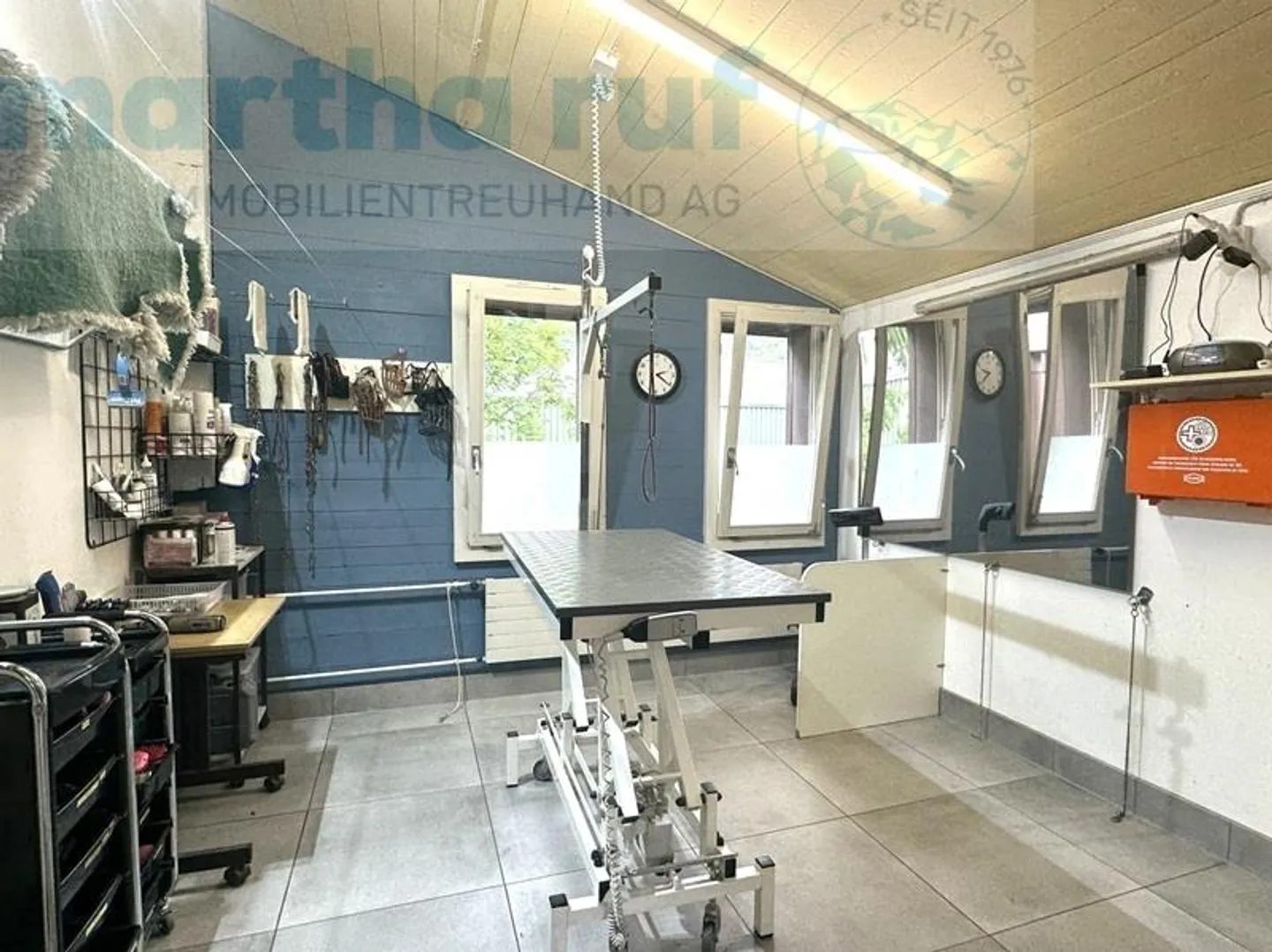 «Einzigartige Tierpension mit Wohnhaus an Toplage in Interlaken» - Foto 16 von 19