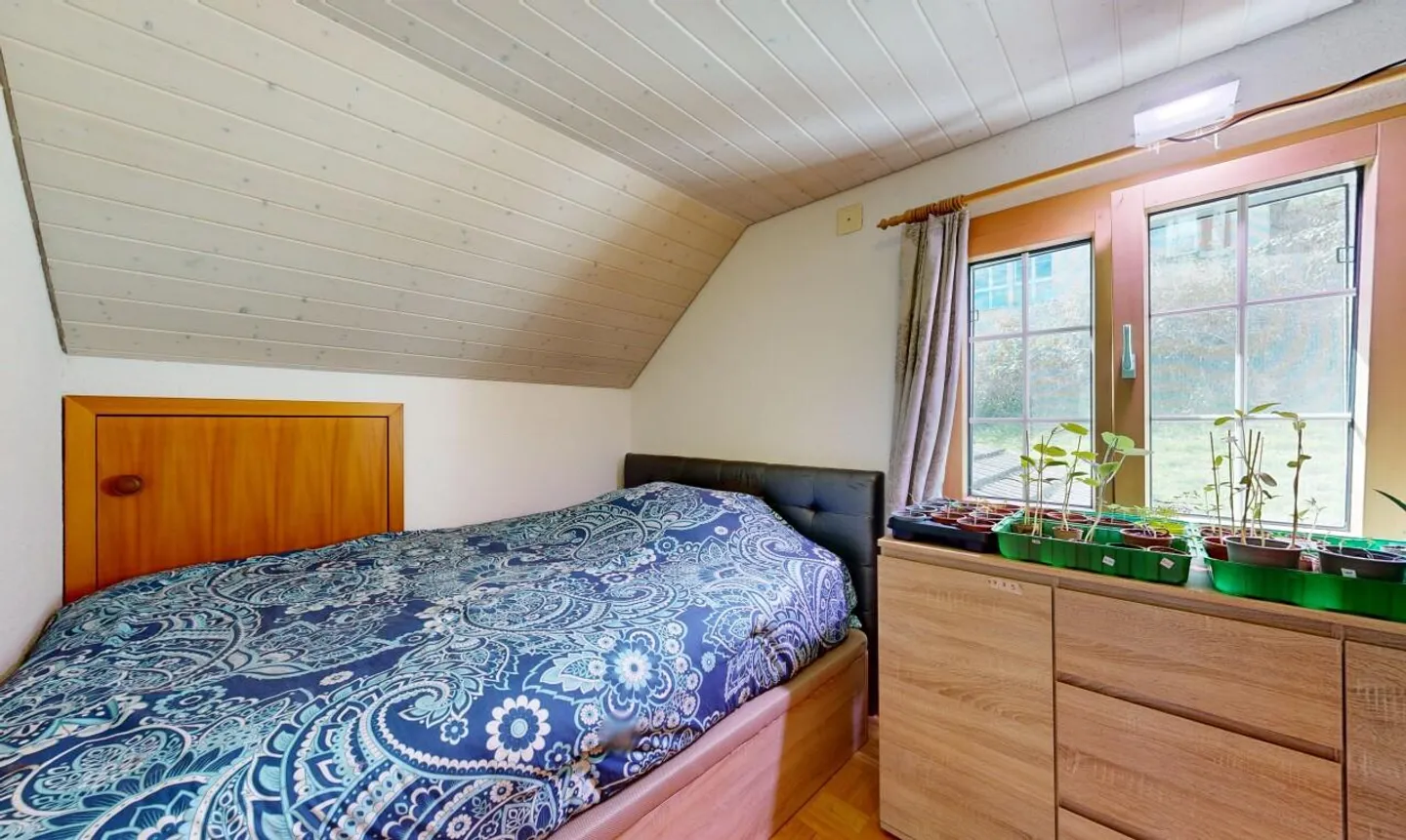 Single-family house with 2 garages and versatile space offerings - Photo 10 of 11