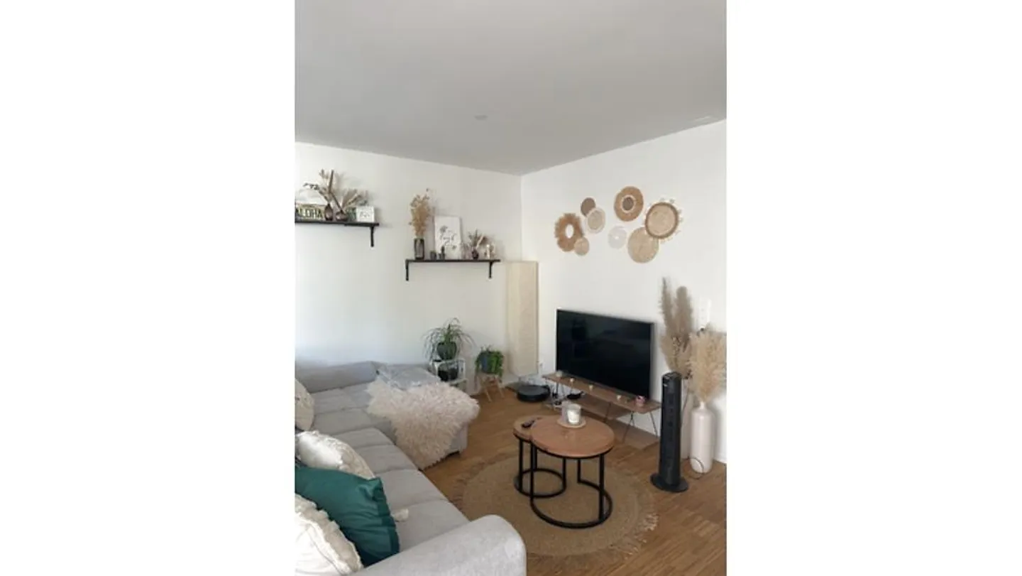 Appartamento 2½ locali a Münchenstein (BL), arredato, temporaneo - Foto 2 di 8