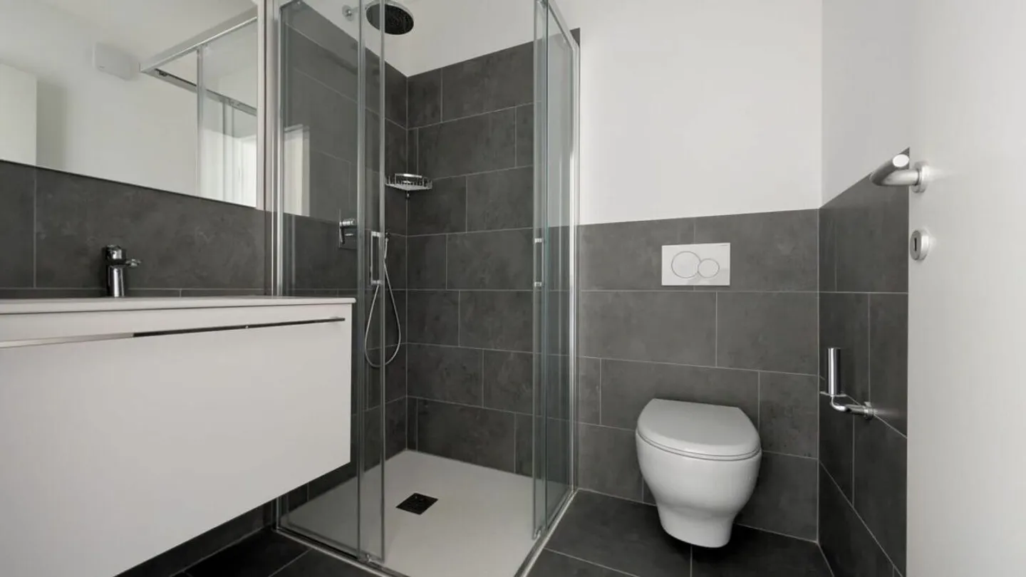 Modern Apartments in Vacallo - Photo 9 of 14