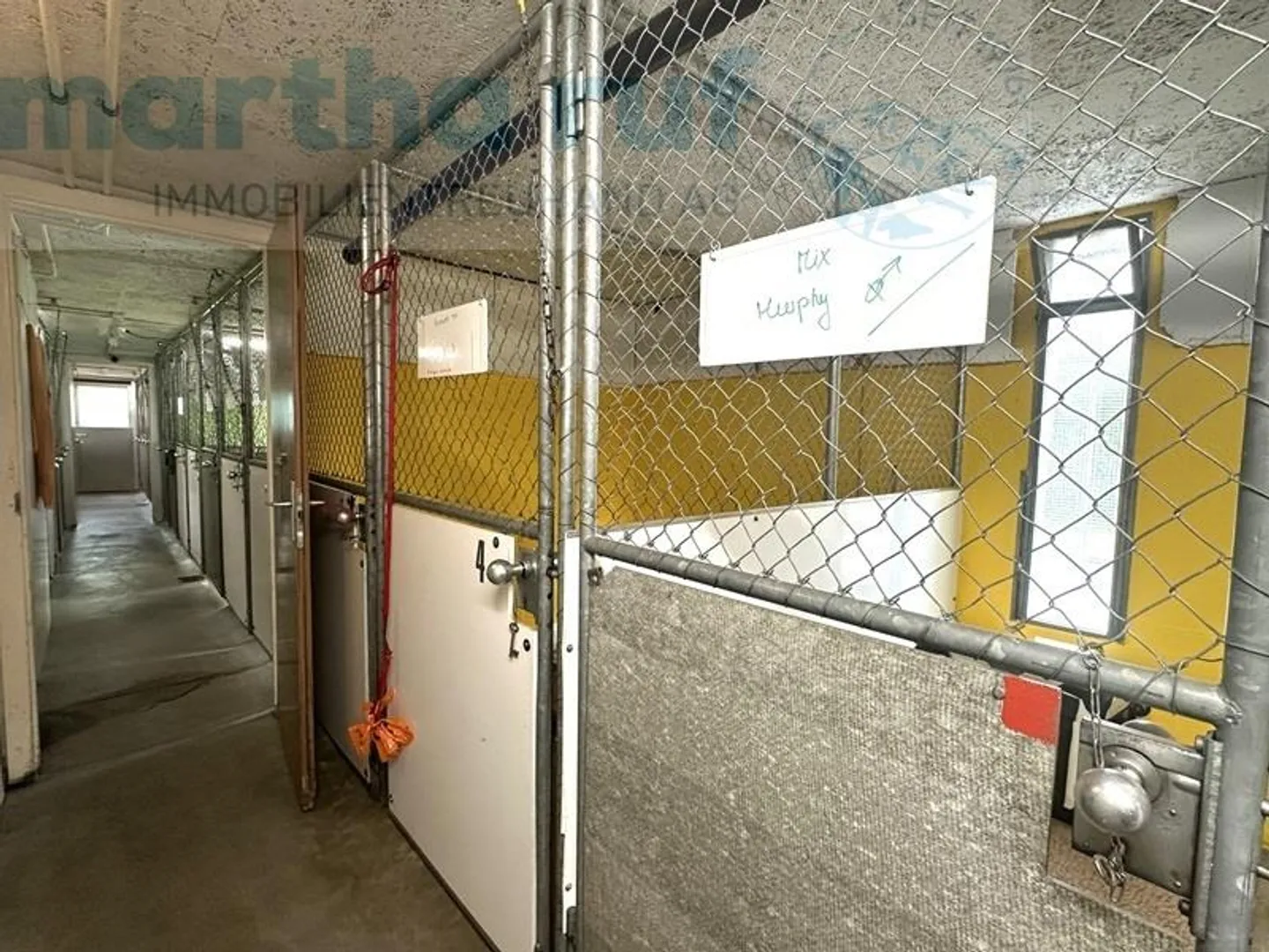 «Einzigartige Tierpension mit Wohnhaus an Toplage in Interlaken» - Foto 18 von 19