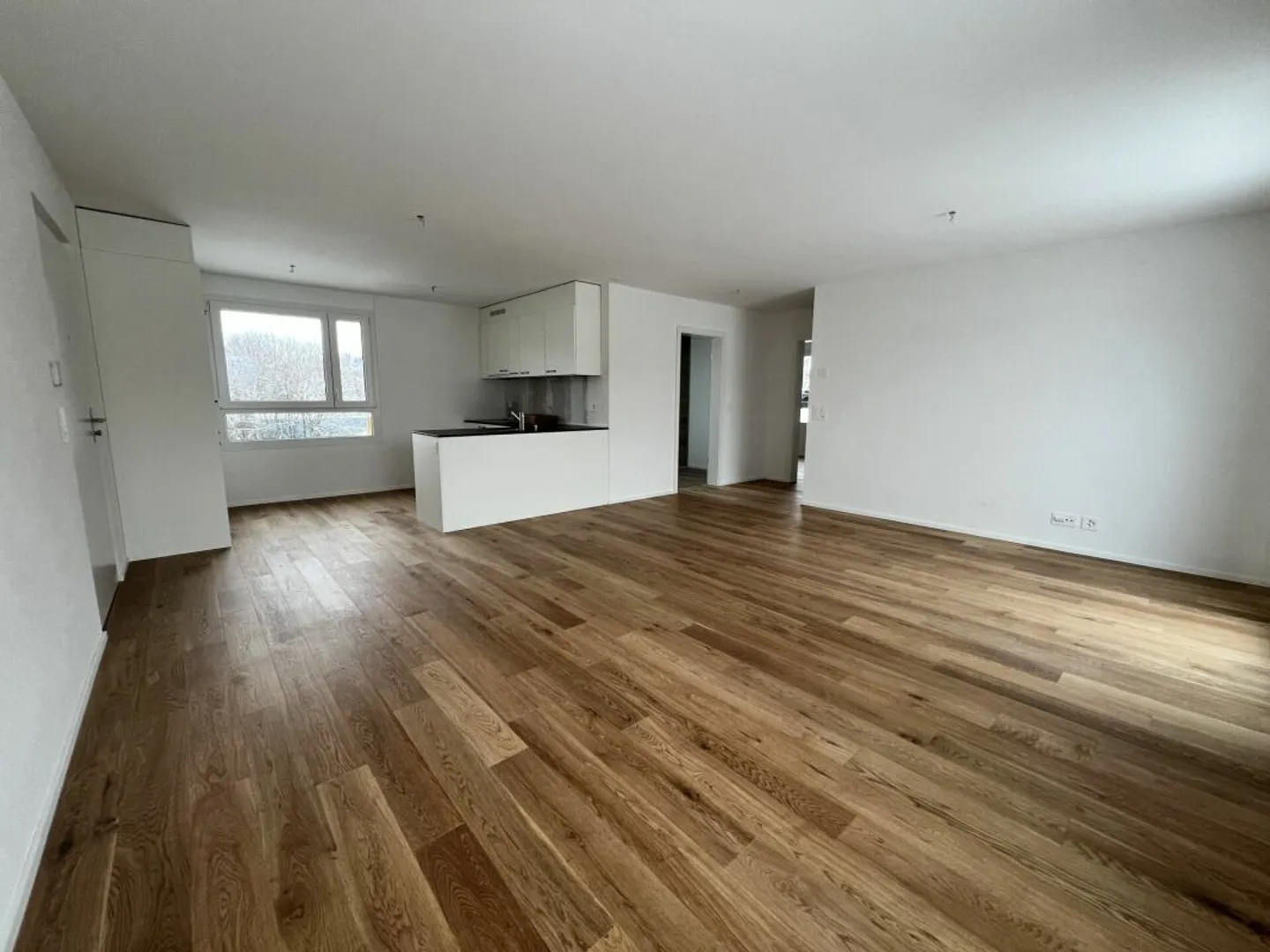 Beautiful new 4.5-room apartment - Photo 5 of 10