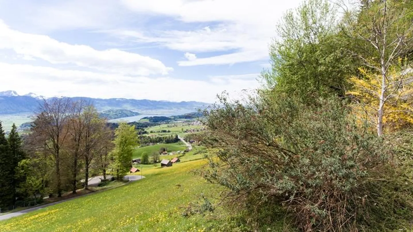 Constructible plot for sale - Photo 3 of 10