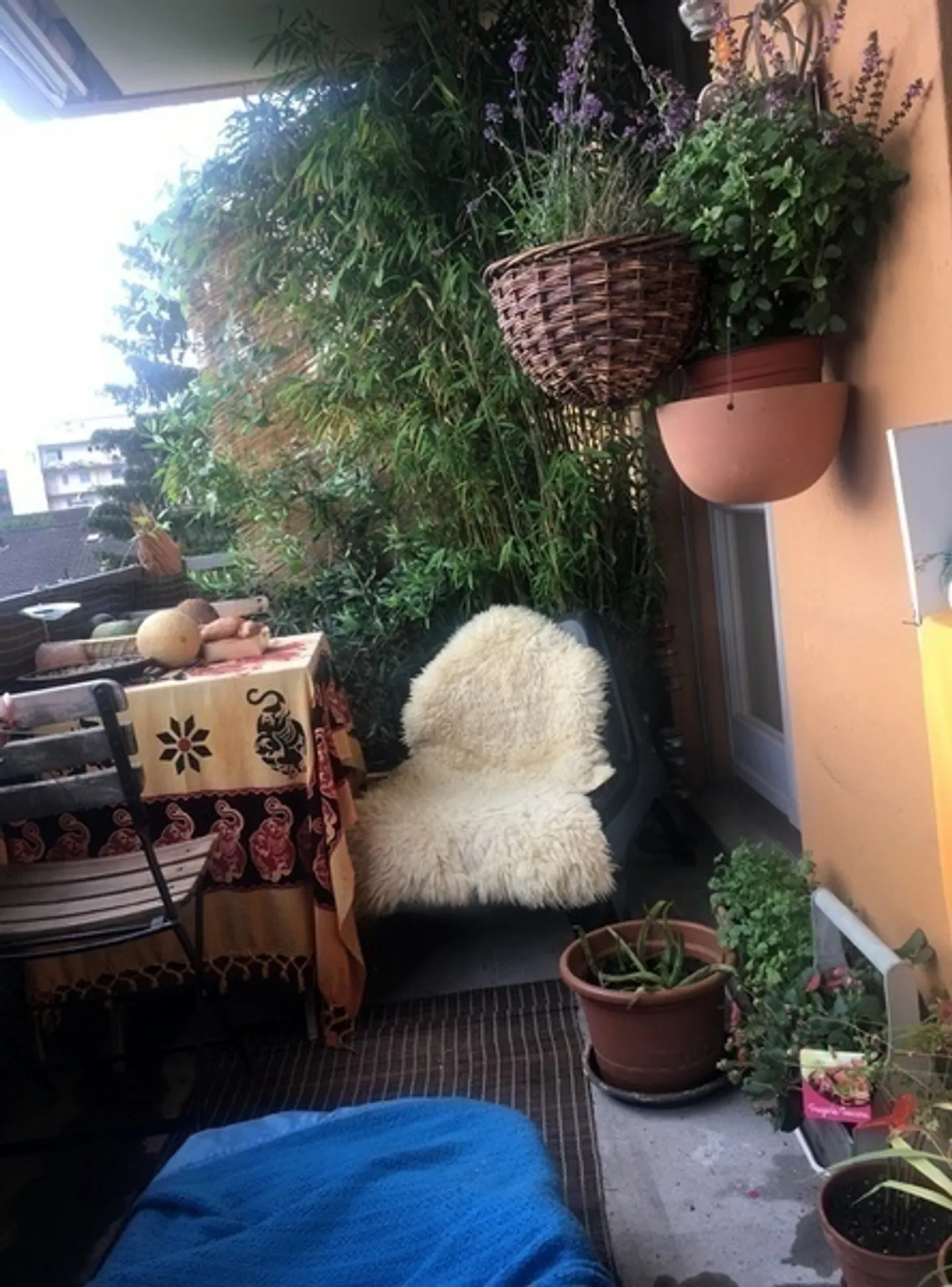 Möblierte Wohnung in Zürich - Foto 8 von 10