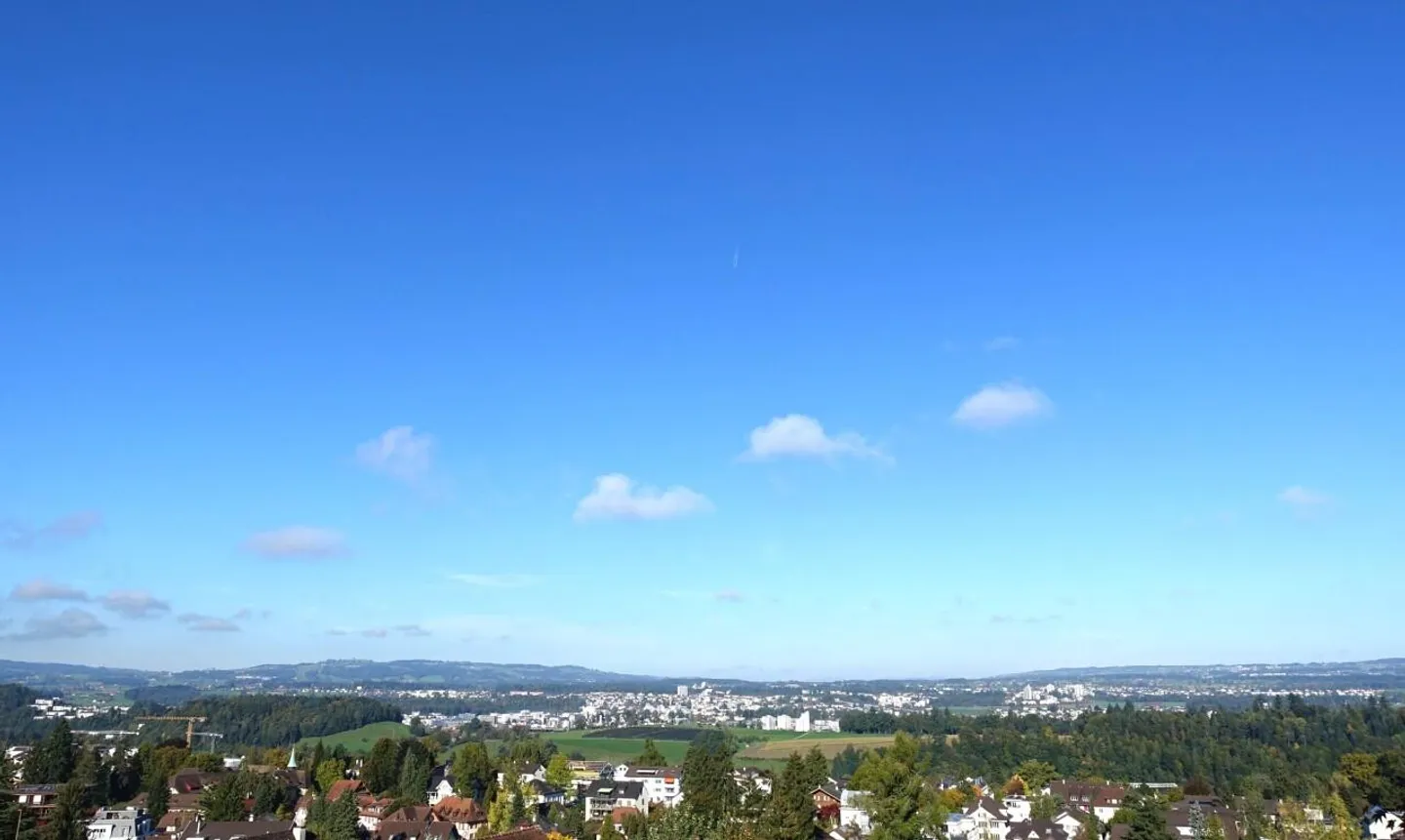 Stylish Home with Panoramic Views - Photo 2 of 11