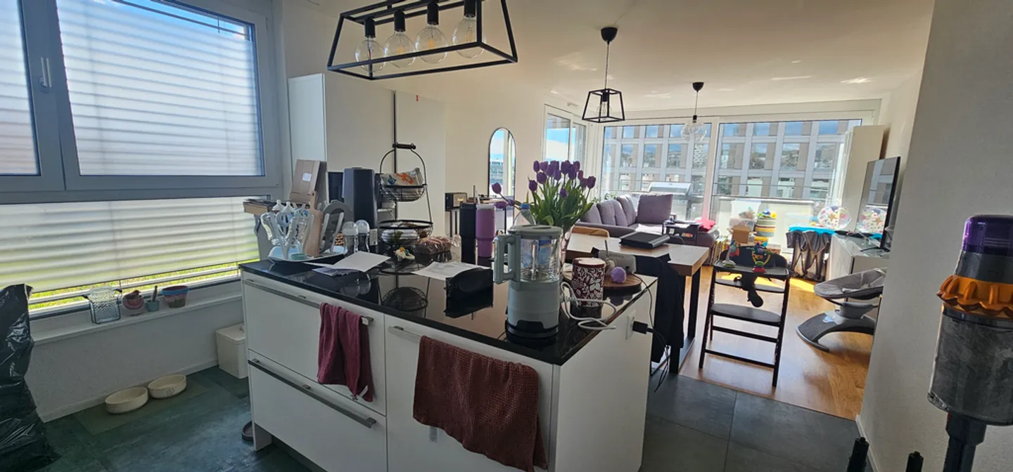 Attico 3.5 stanze - Foto 3 di 7