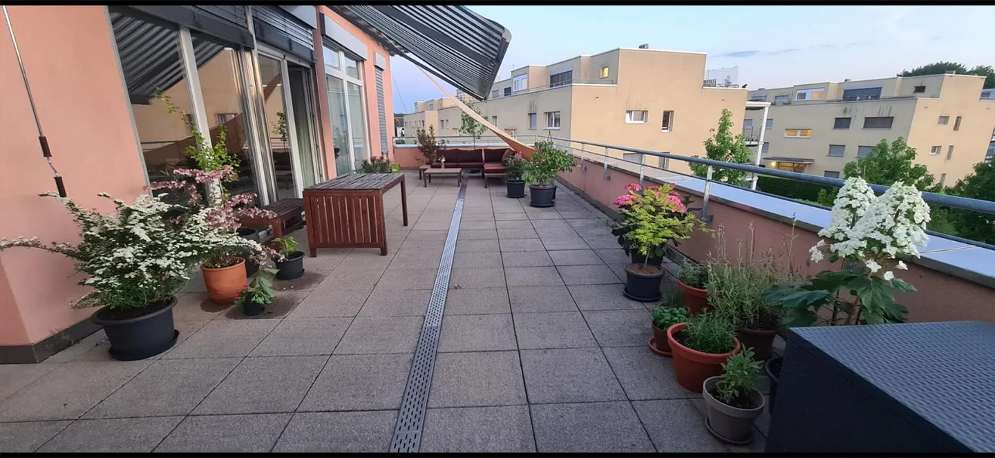 Looking for a new tenant for a beautiful 4.5 room rooftop apartment - Photo 4 of 11