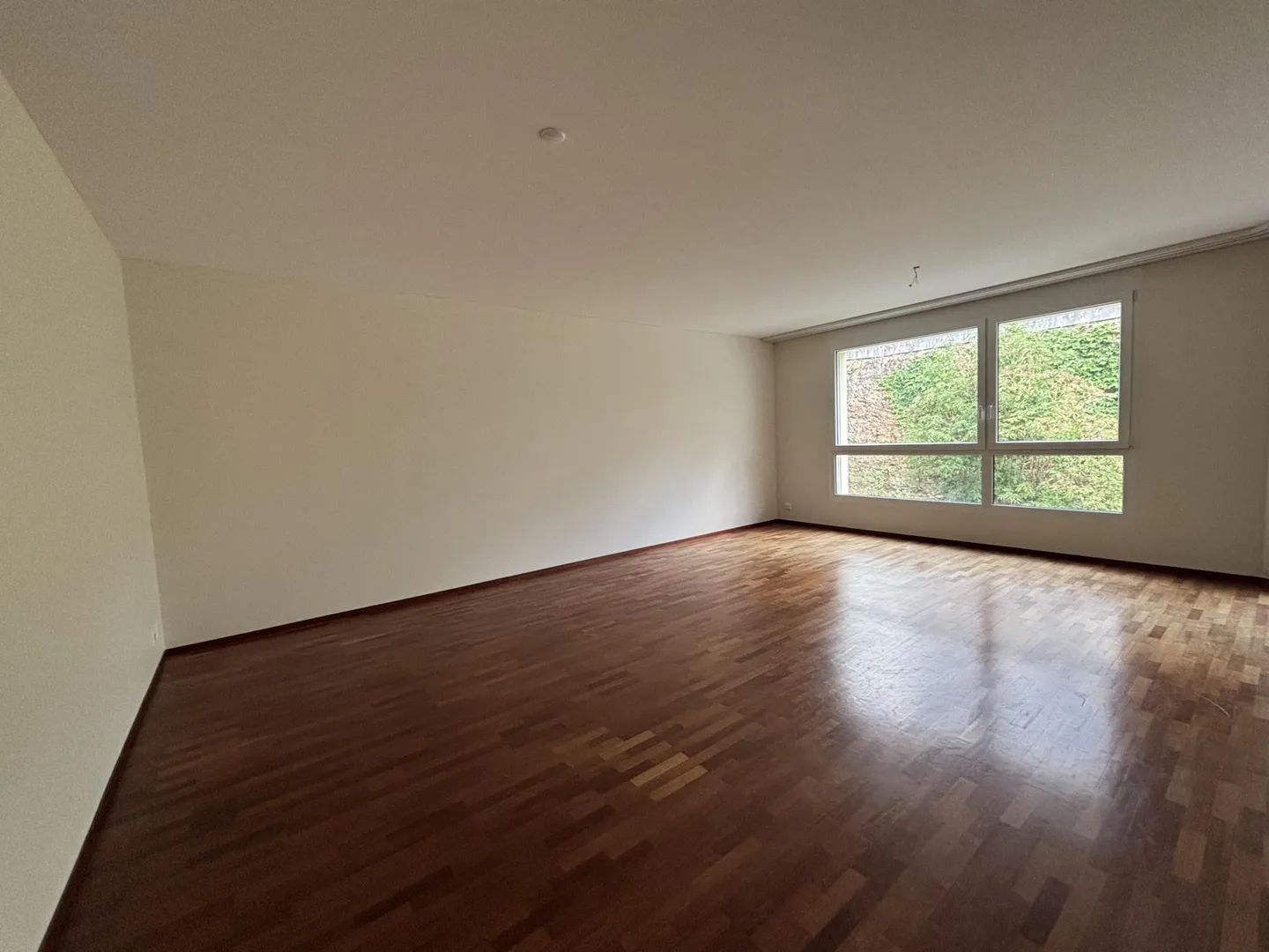 Spacious Apartment in Neuchâtel - Photo 2 of 9