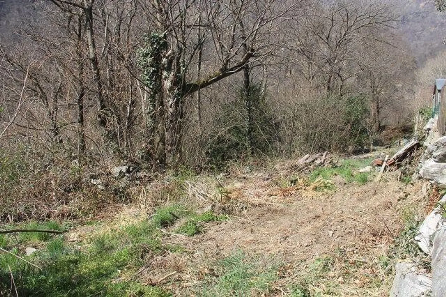 Sonniges Baugrundstück in Avegno - Foto 2 von 6