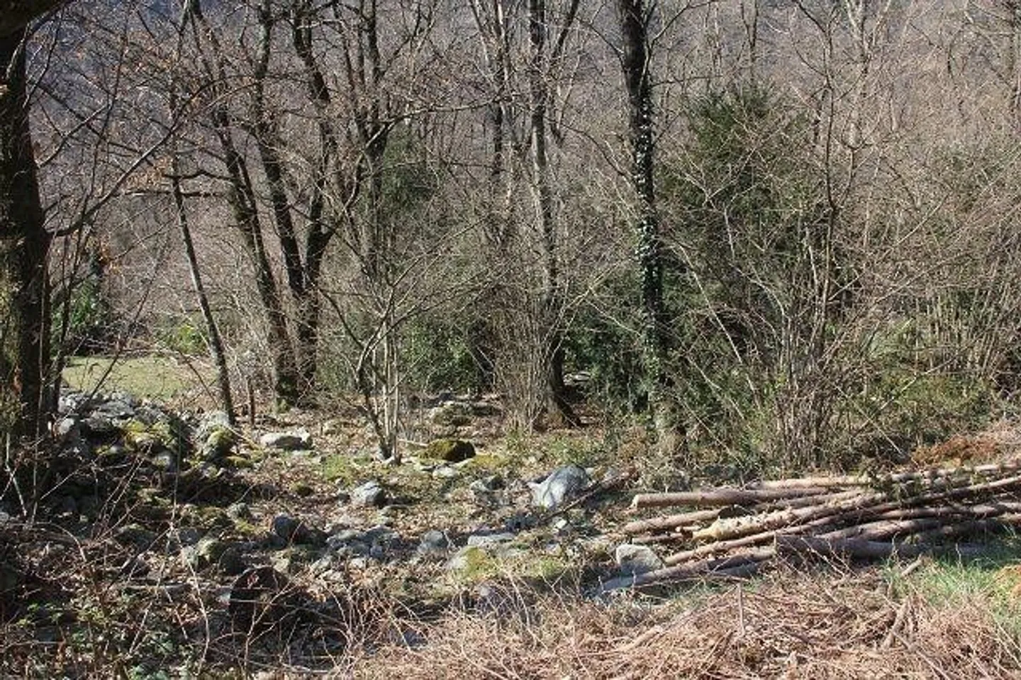 Sonniges Baugrundstück in Avegno - Foto 4 von 6