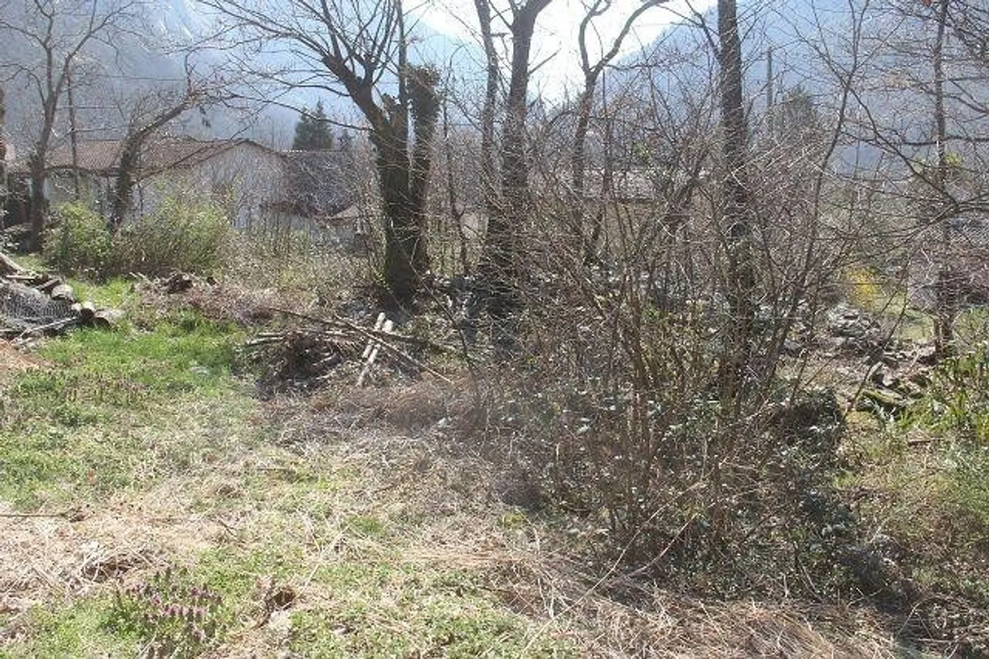 Sonniges Baugrundstück in Avegno - Foto 5 von 6