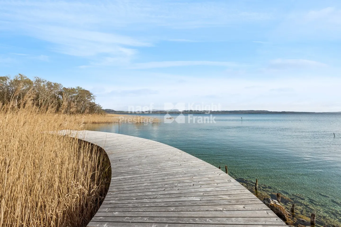 Master Property with Lake Access - Photo 7 of 10