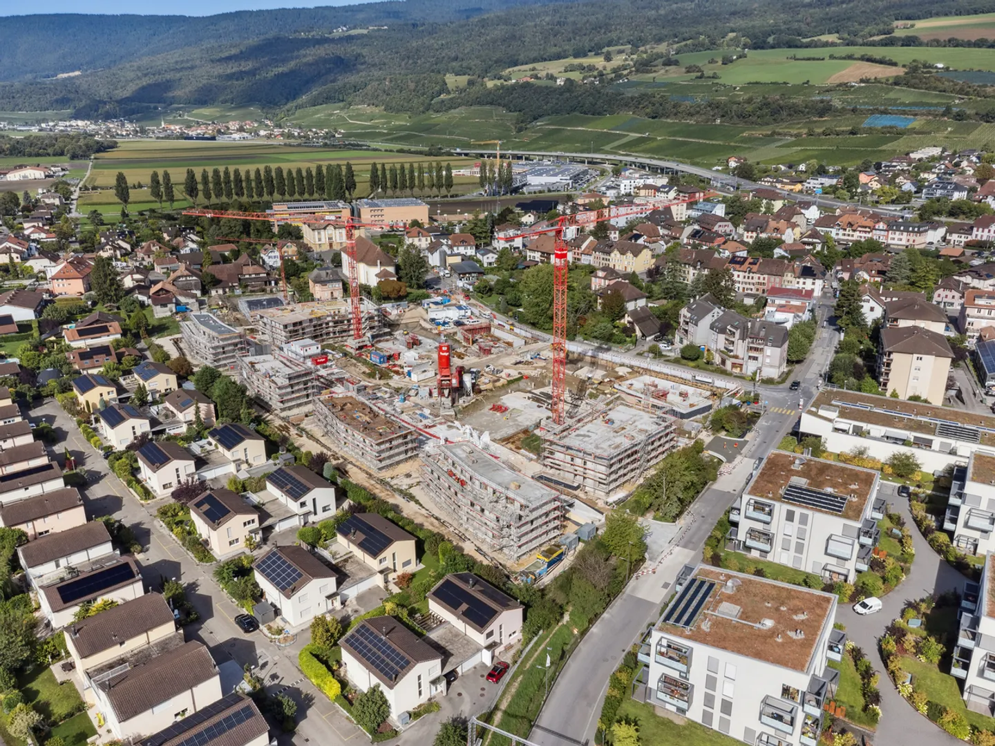 Die Pfirsiche hinter der Kirche - Los C1.08 - Foto 6 von 8