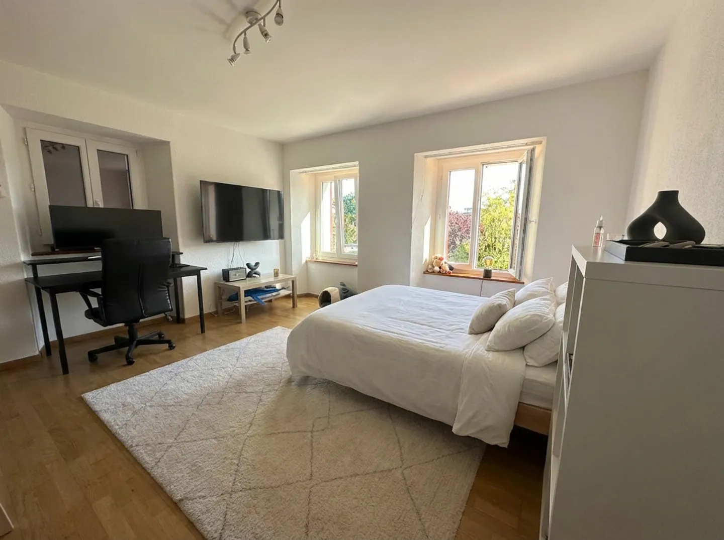 Opportunità di investimento rara con ampia terrazza e giardino - Foto 3 di 6