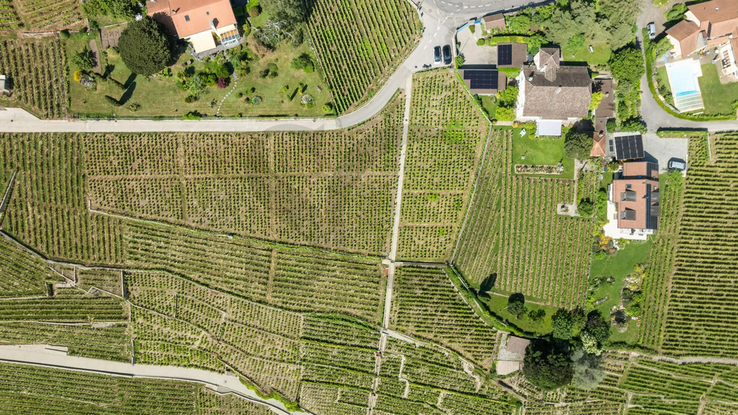Elegant House in Bourgeois Style in the Heart of Lavaux - Photo 11 of 11
