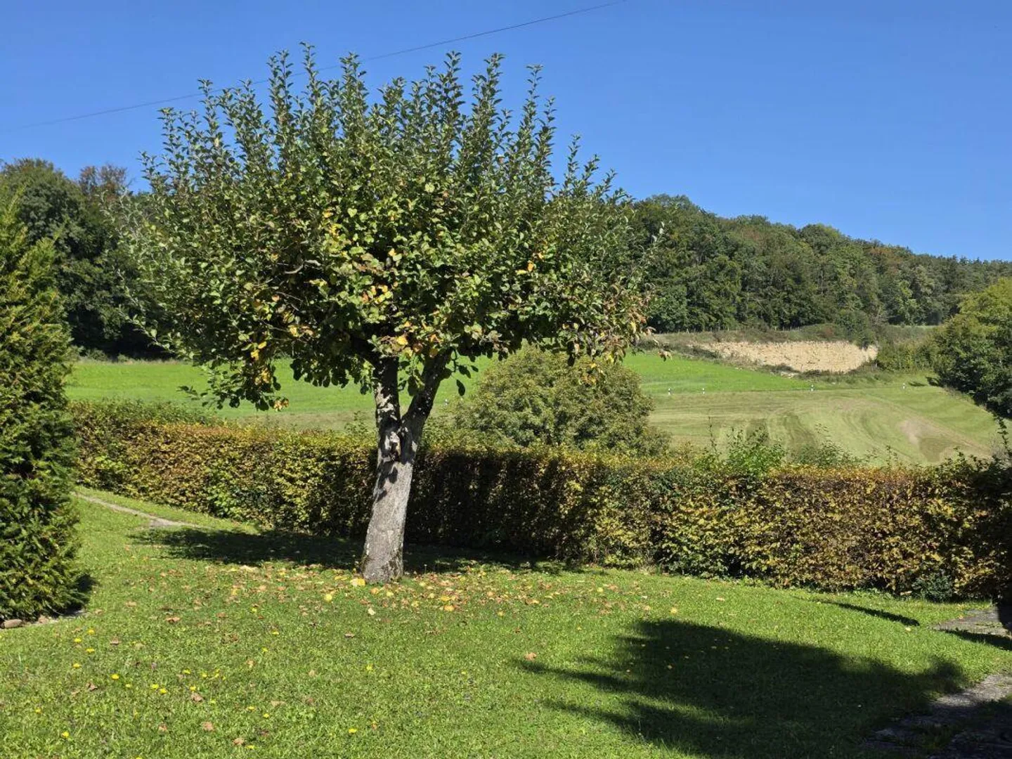 Viel Platz, Ruhe & Privatsphäre - freistehendes Einfamilienhaus mit viel Potenzial - Foto 20 von 21